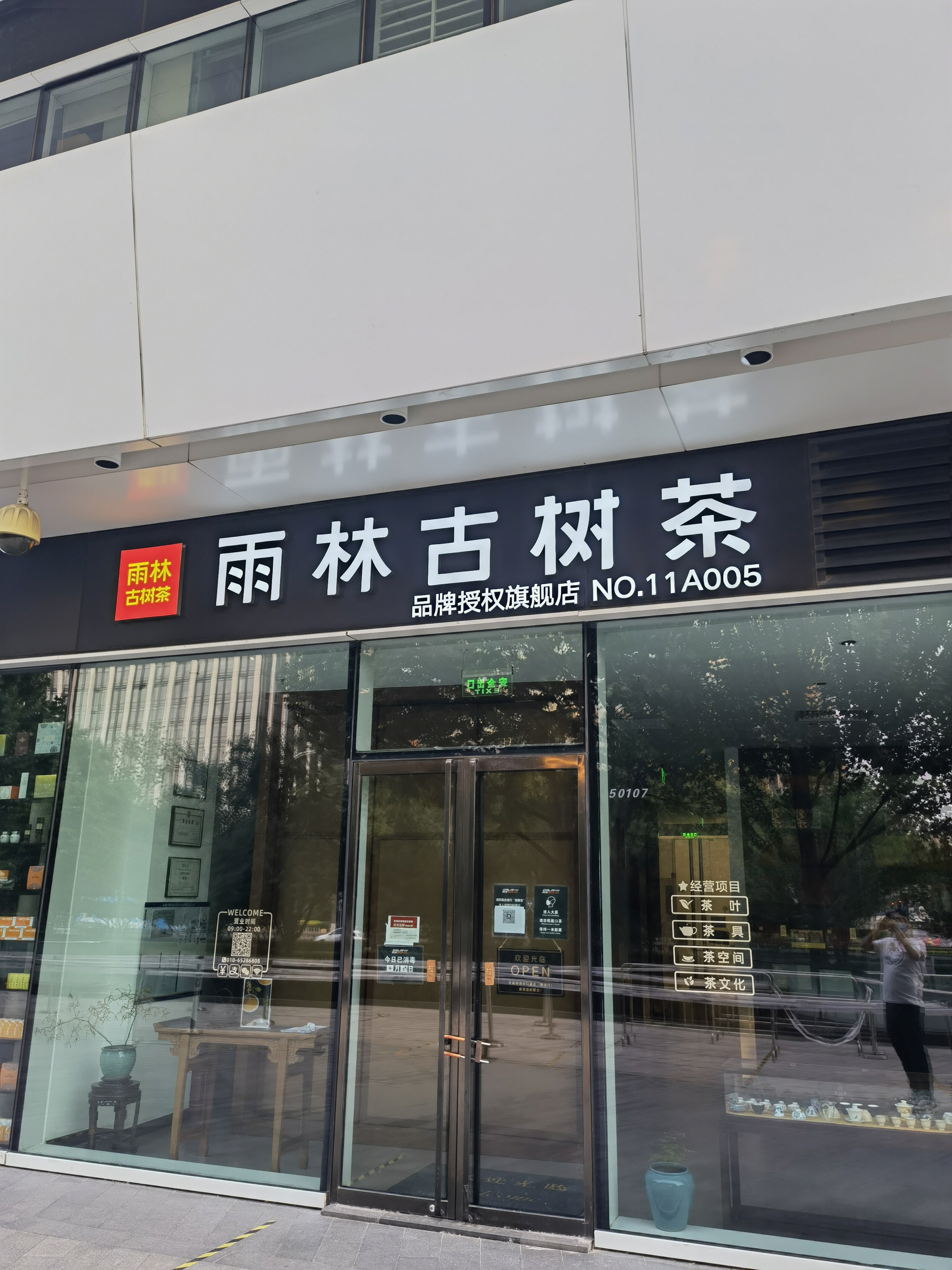 雨林古树茶 茶叶 普洱茶