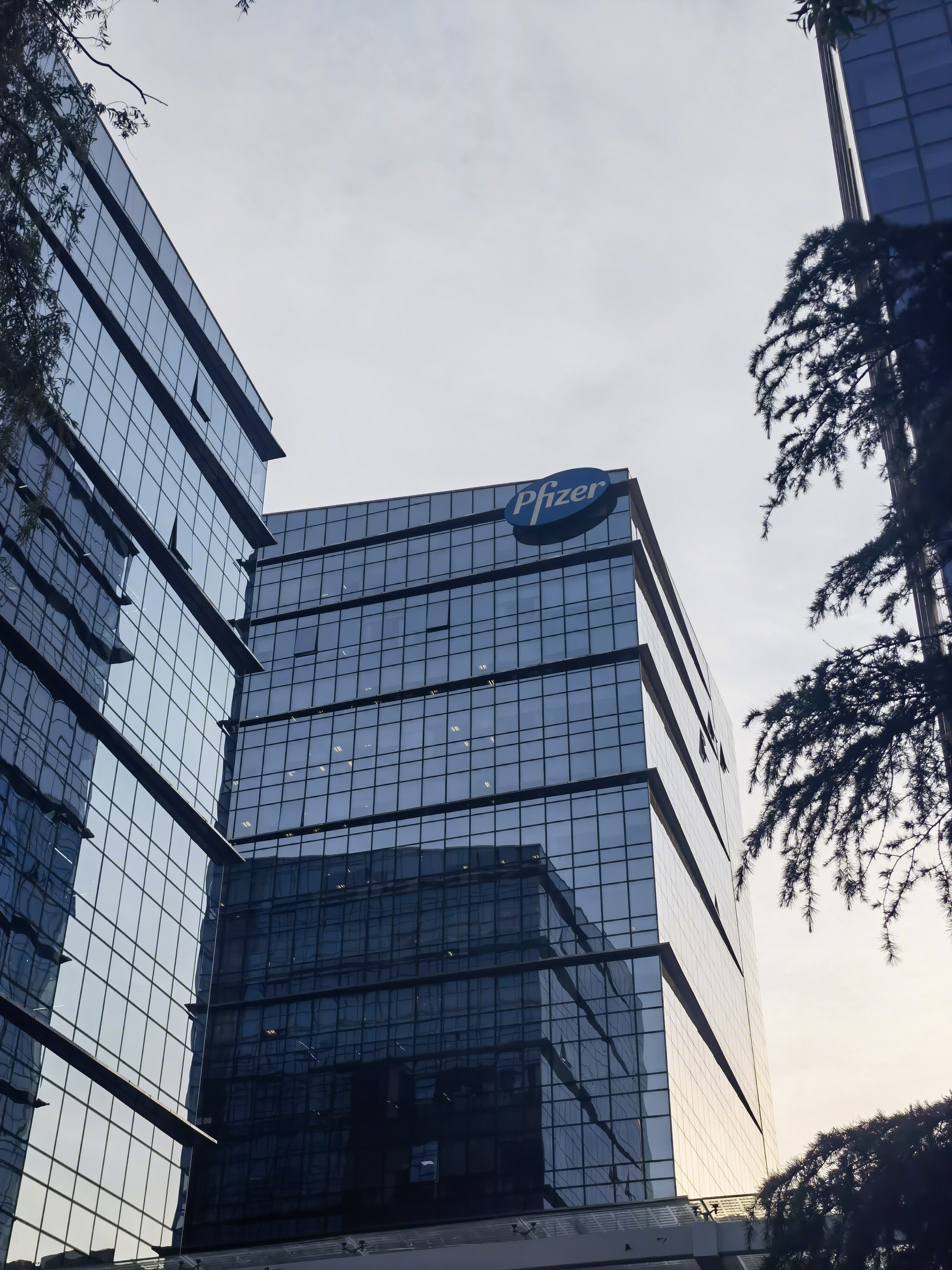 辉瑞制药 Pfizer 医药 药企