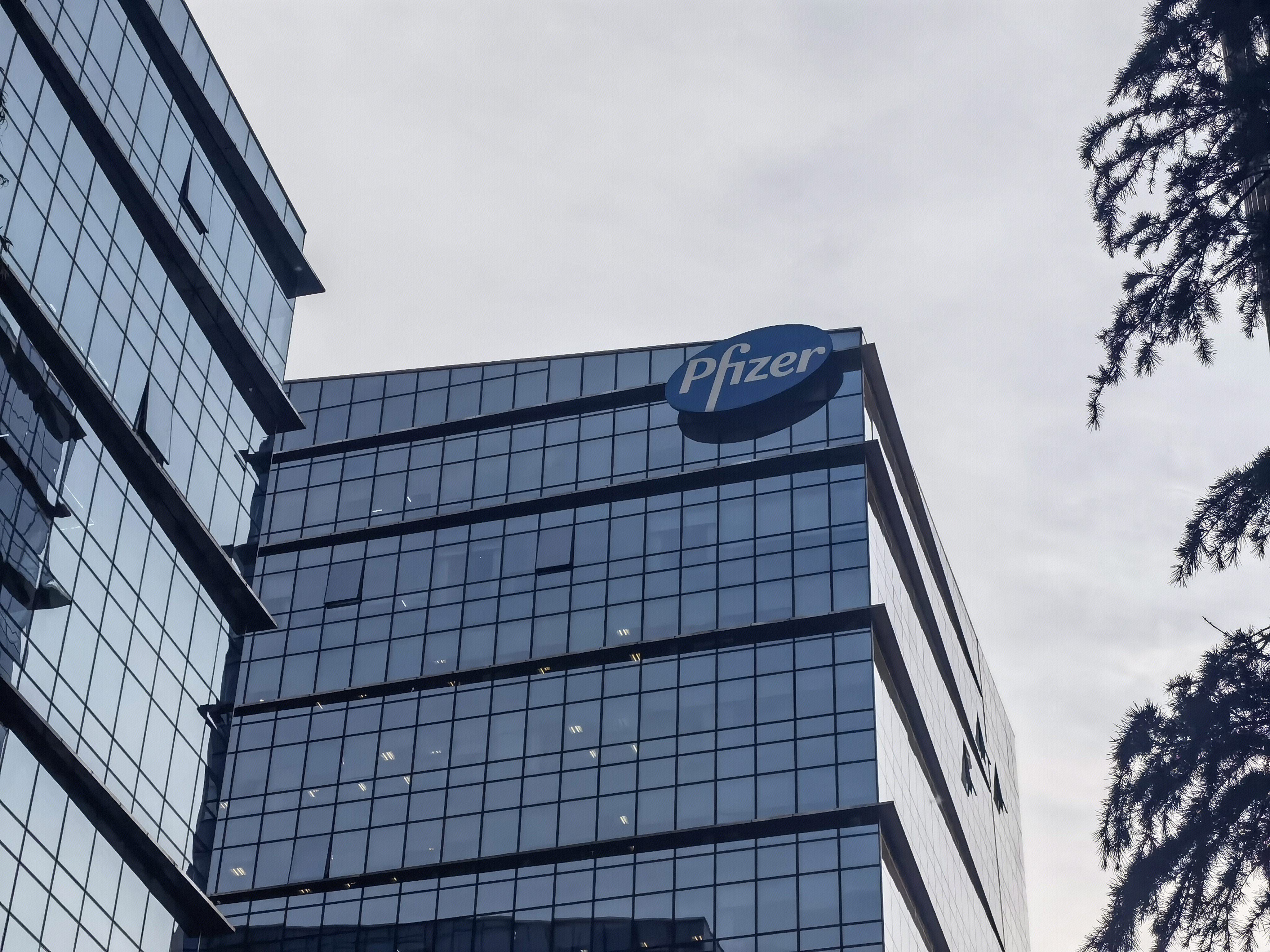 辉瑞制药 Pfizer 医药