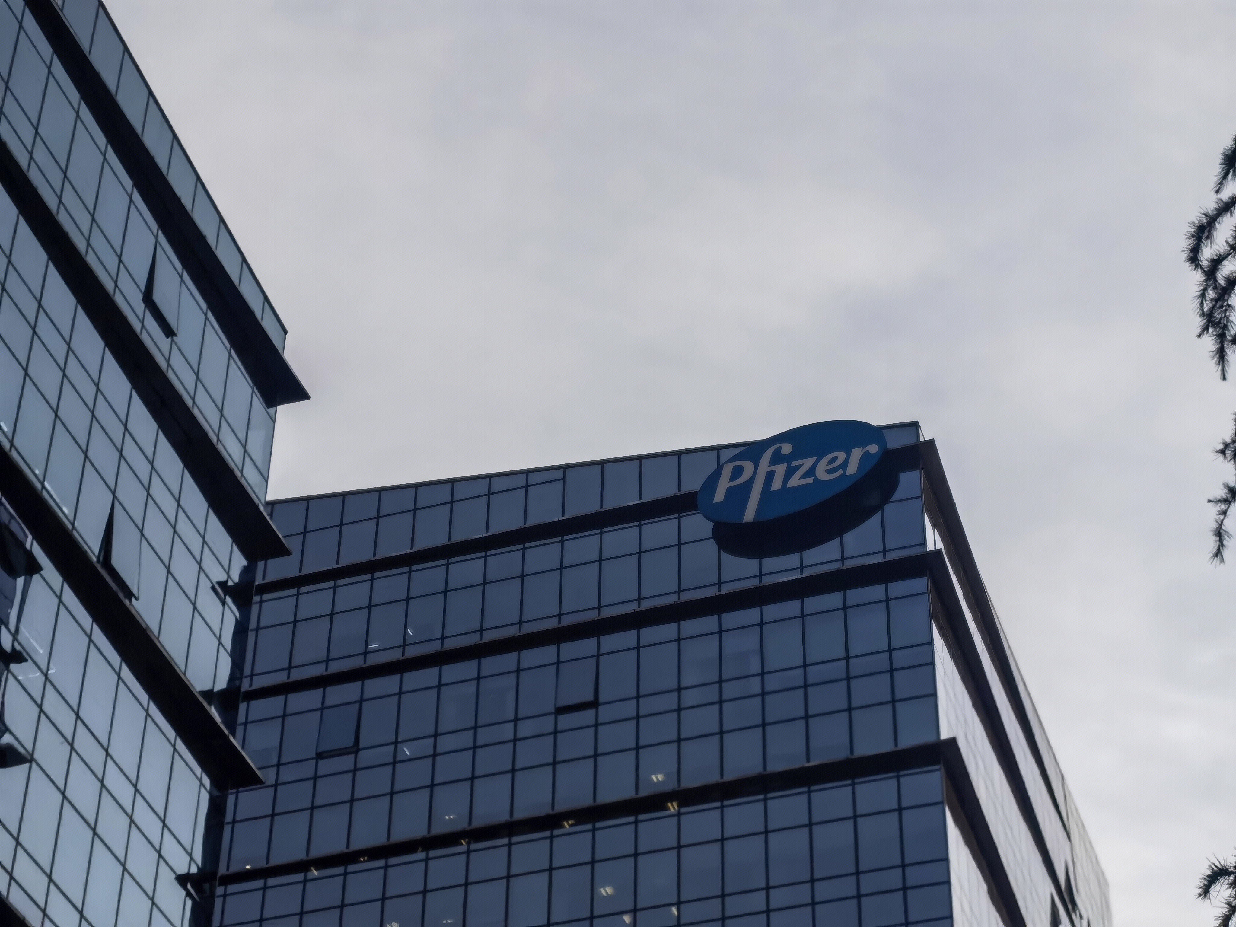 辉瑞制药 Pfizer 医药 药企