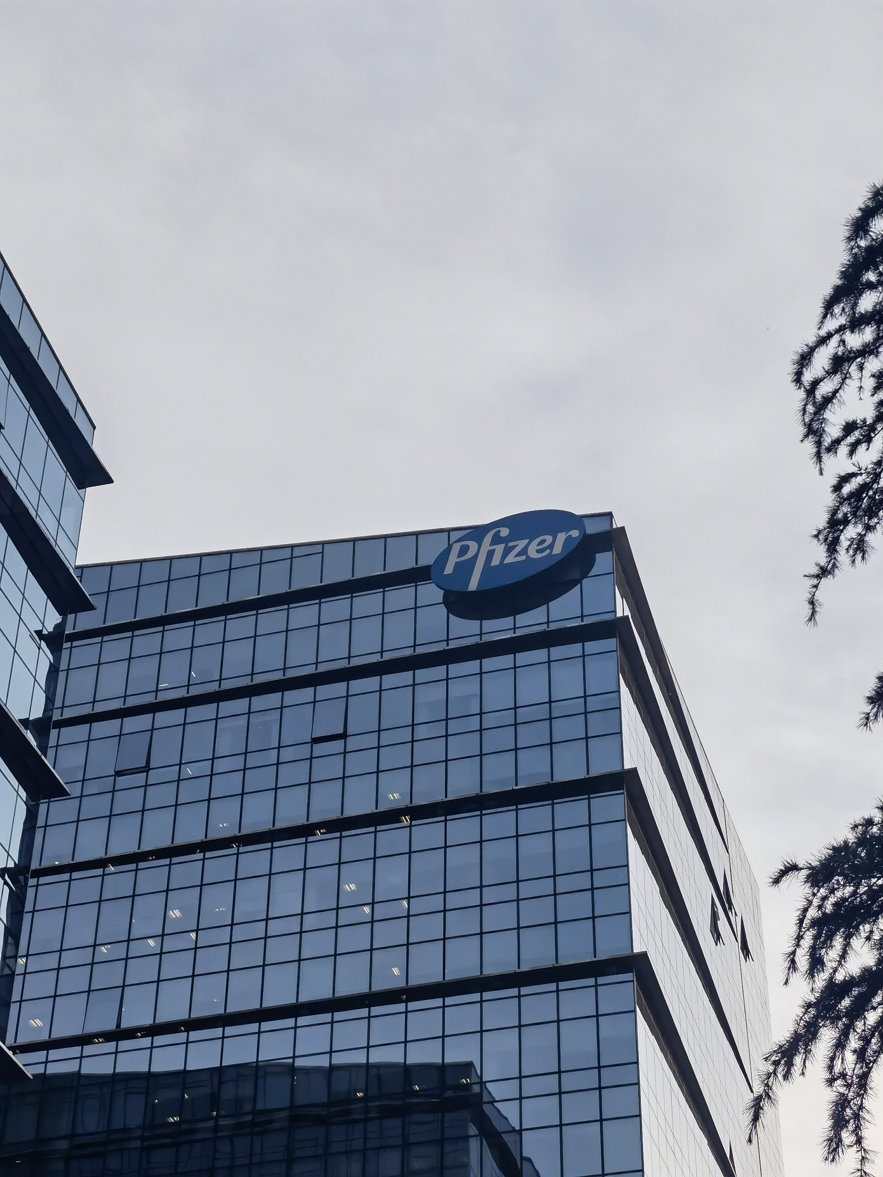 辉瑞制药 Pfizer 医药 药企