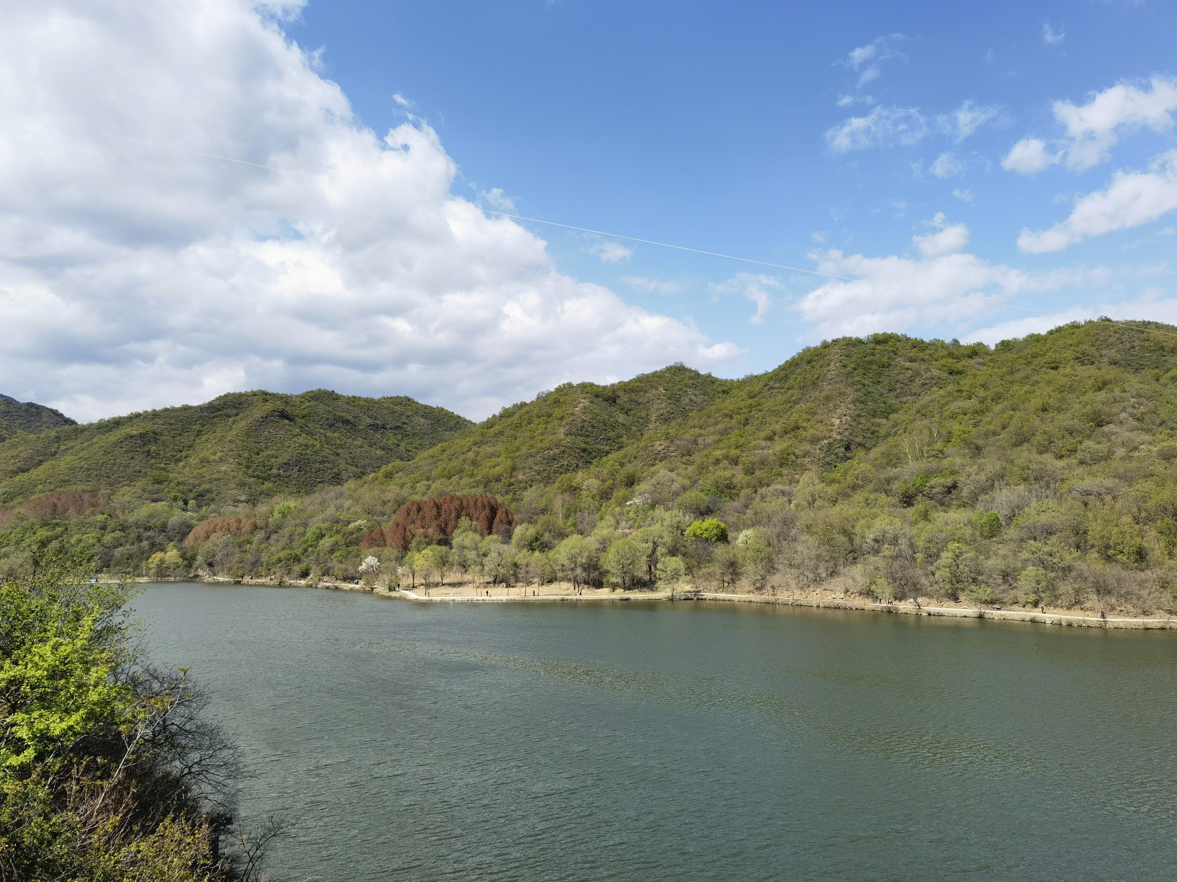 河边 春色 湖 绿树 山