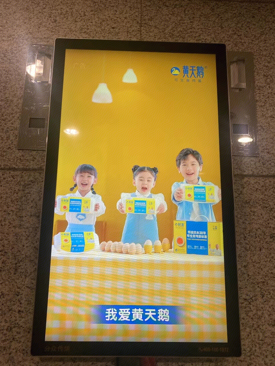 黄天鹅  可生食标准鲜鸡蛋   鸡蛋   食品