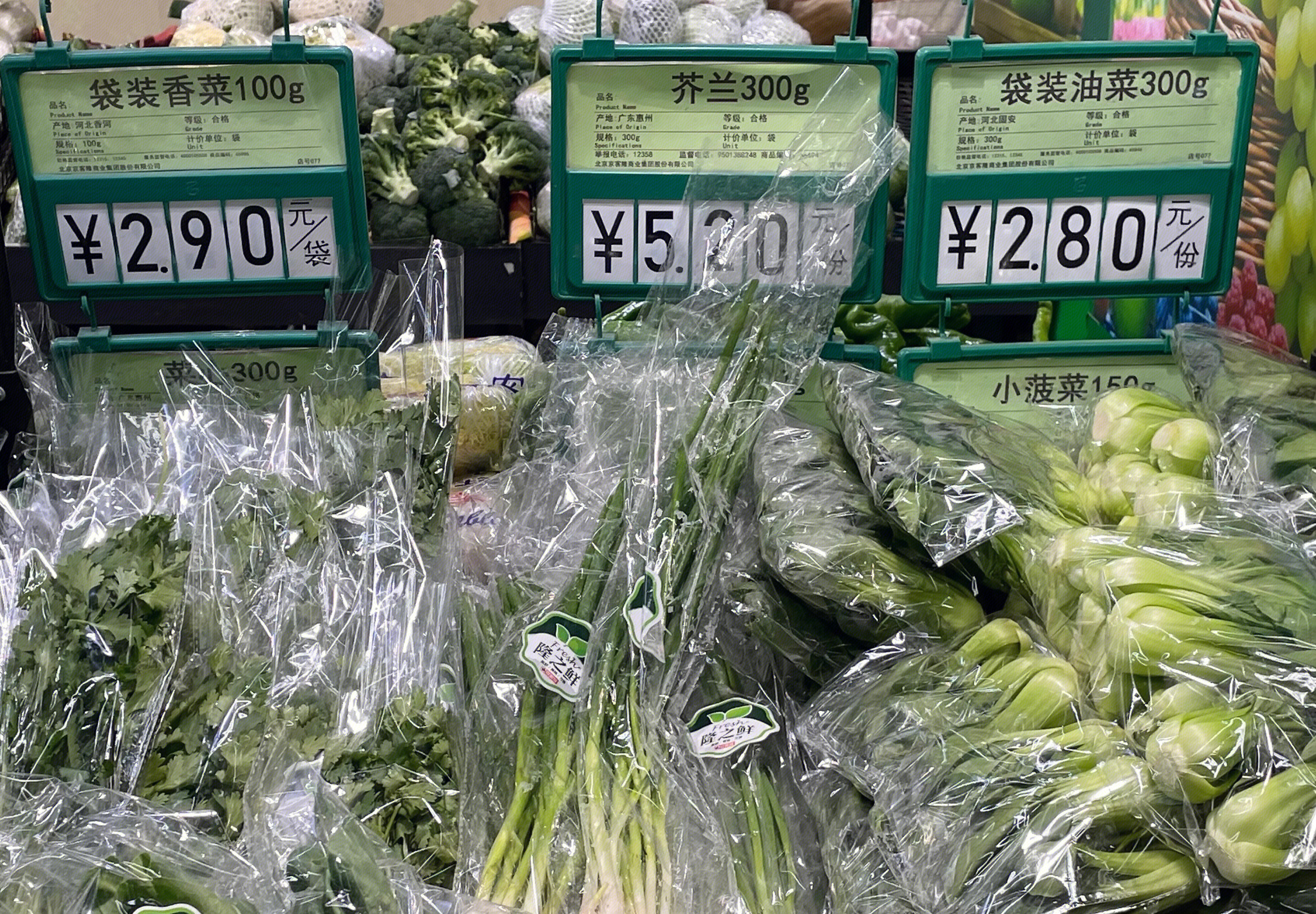 超市 生鲜货架 蔬菜 油菜 菠菜 香菜 芥兰