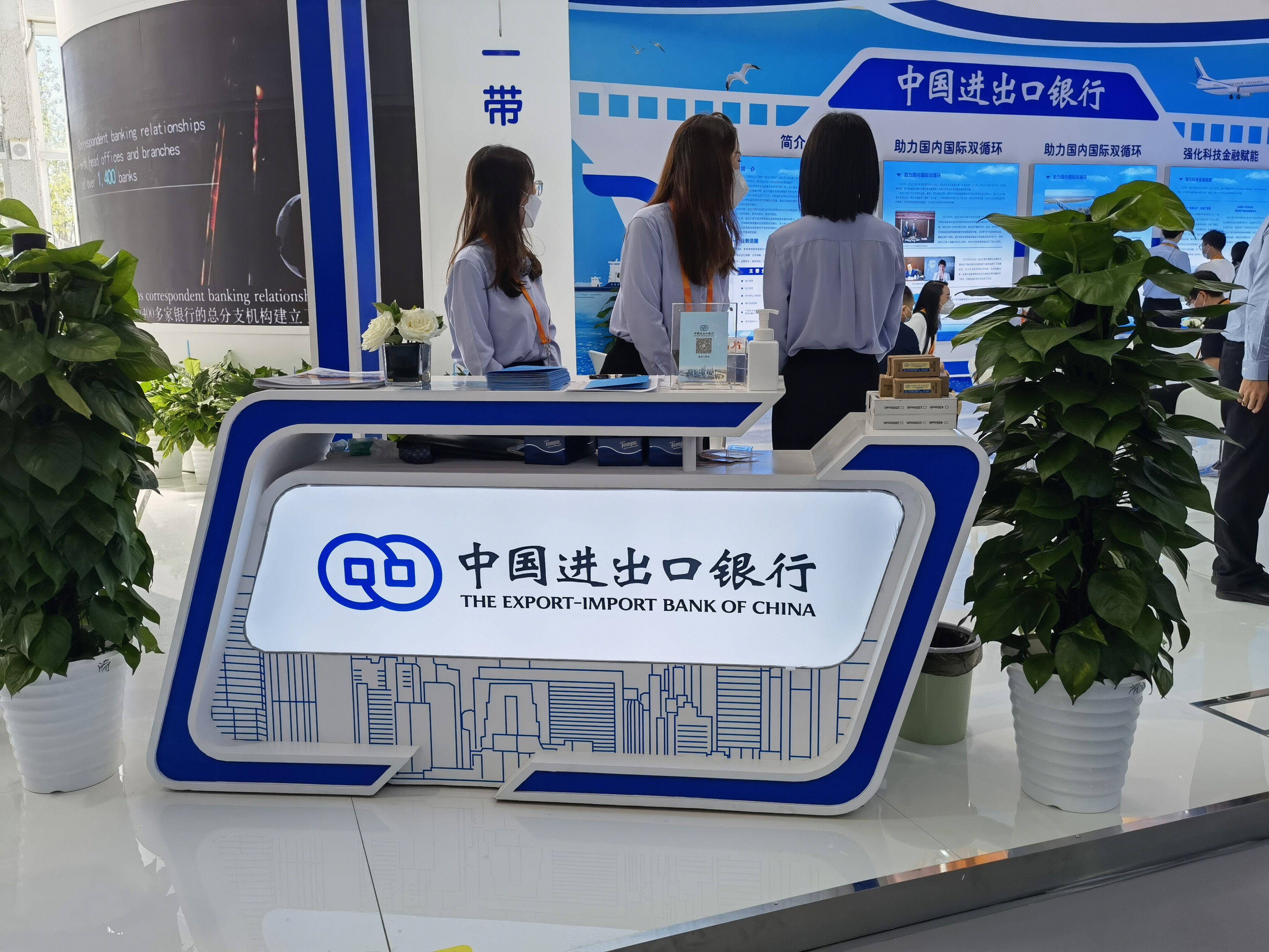 中国进出口银行 政策性银行