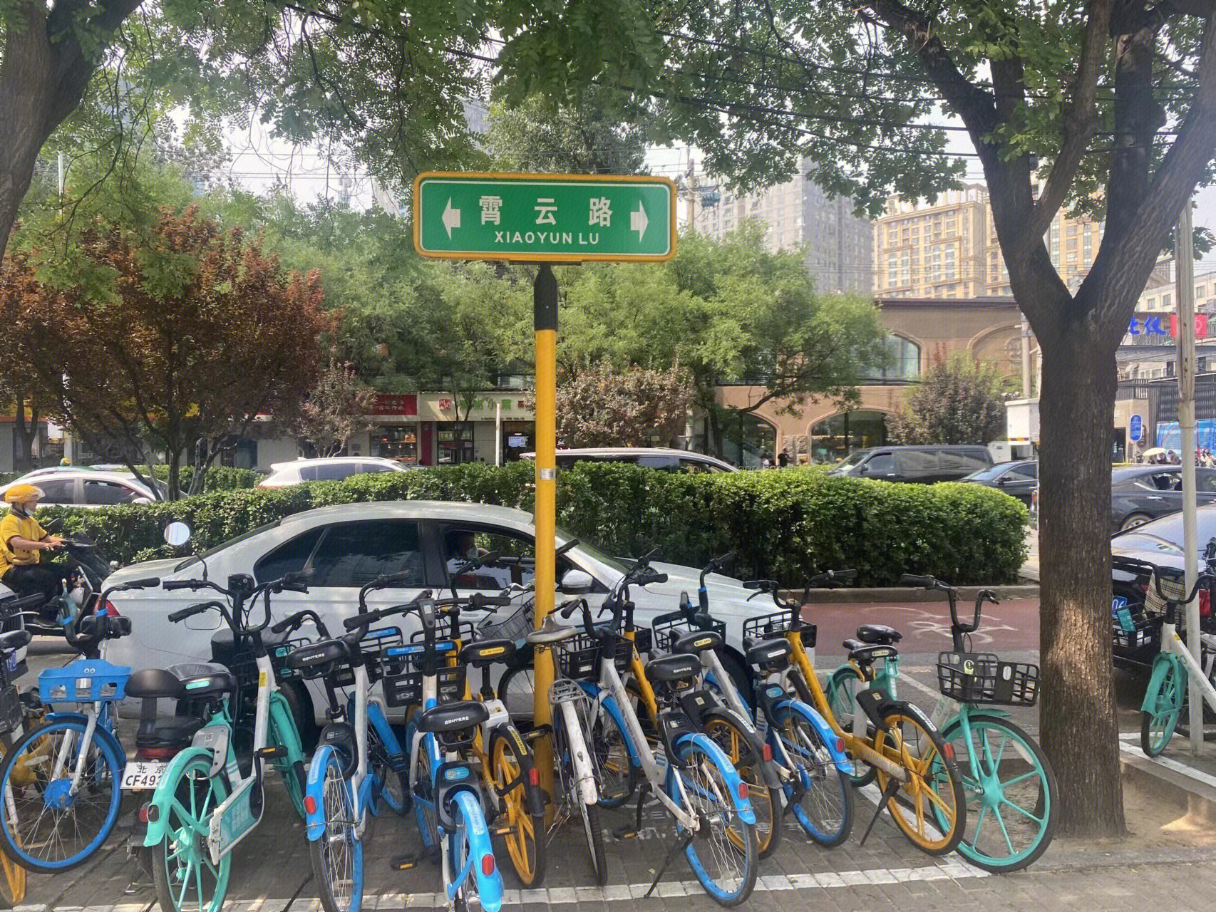 哈啰单车   美团单车  自行车  霄云路