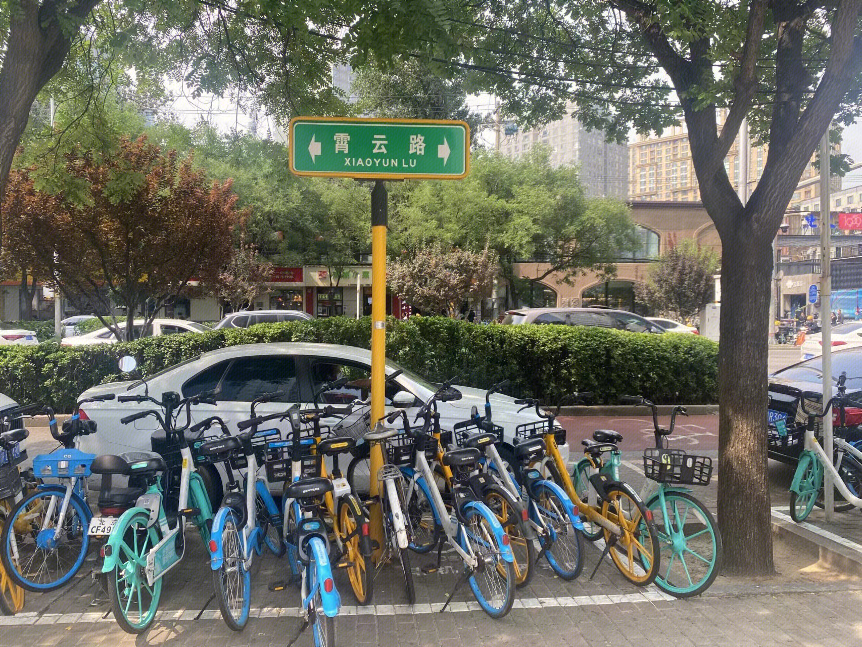 哈啰单车   美团单车  自行车  霄云路