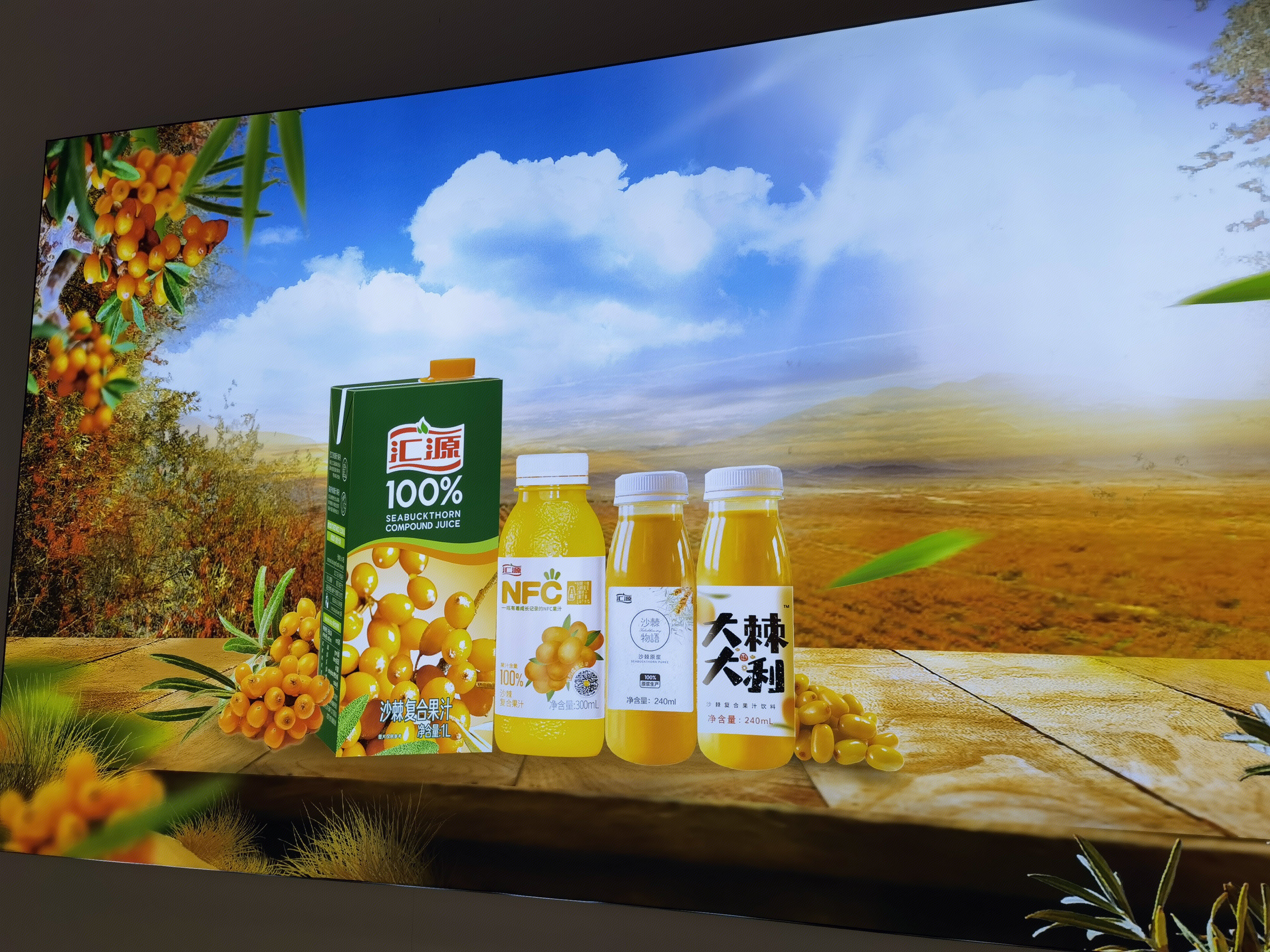 汇源果汁 汇源沙棘汁