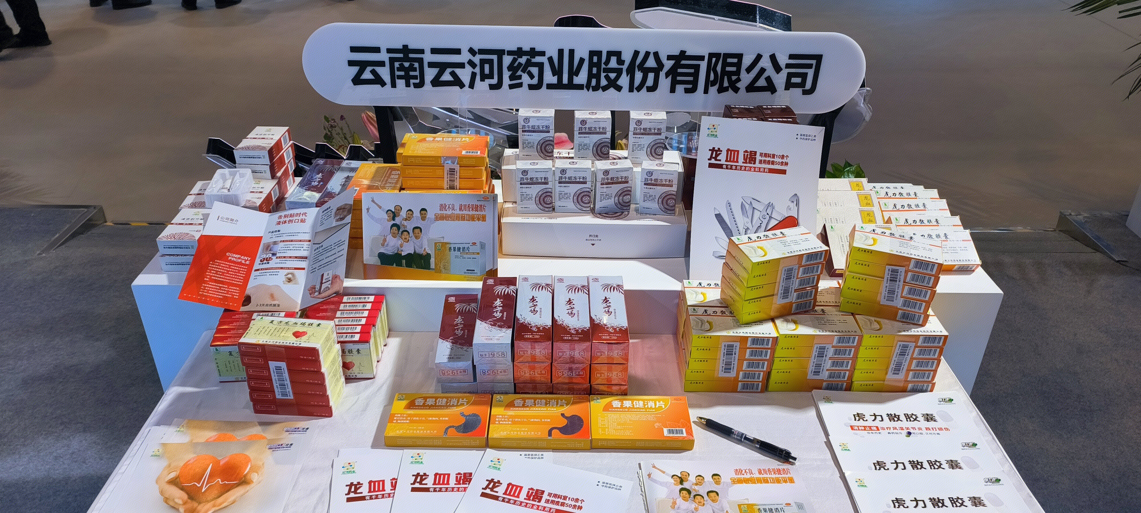 云南云河药业股份