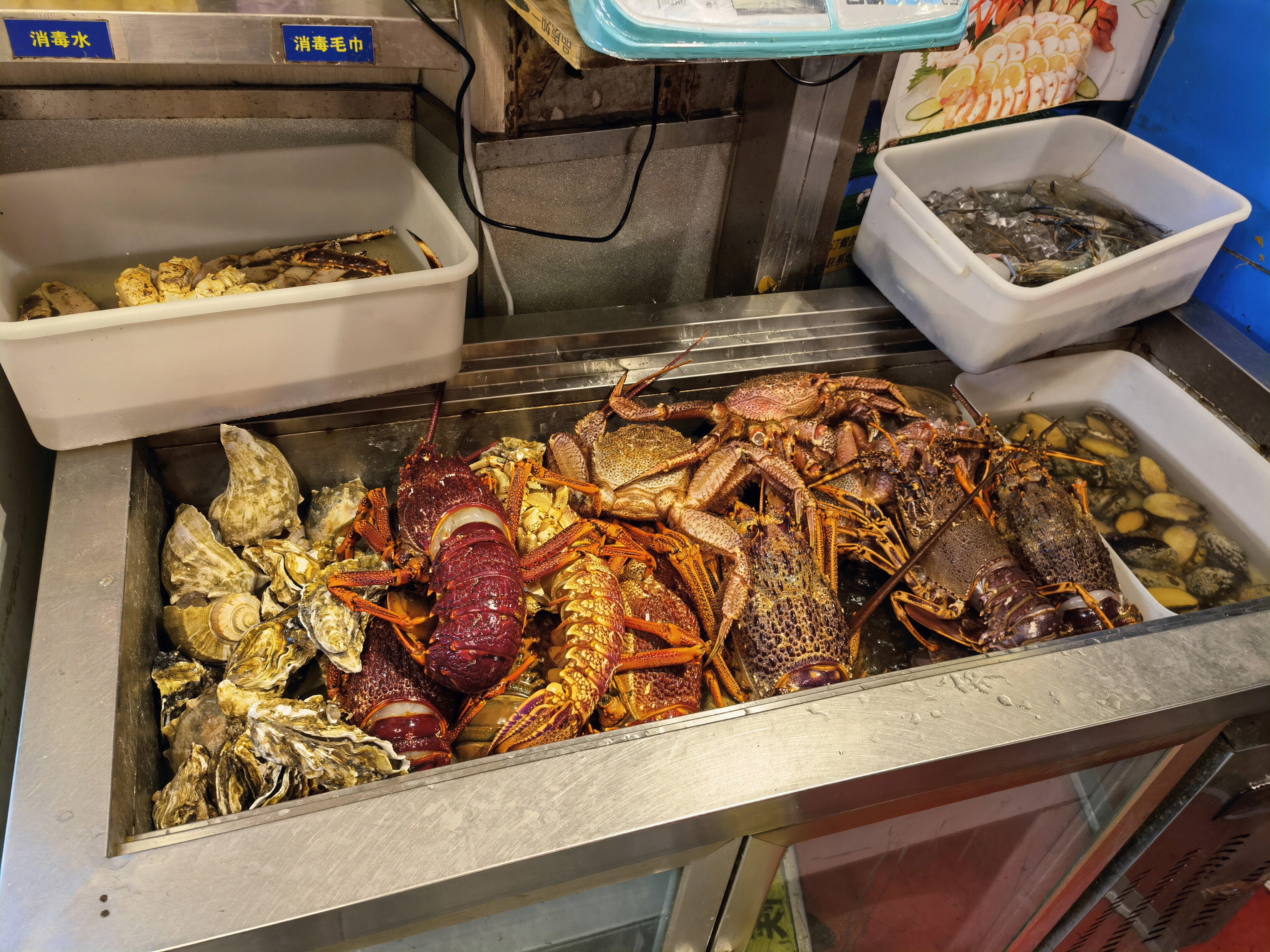 生猛海鲜 澳龙 龙虾 进口生鲜