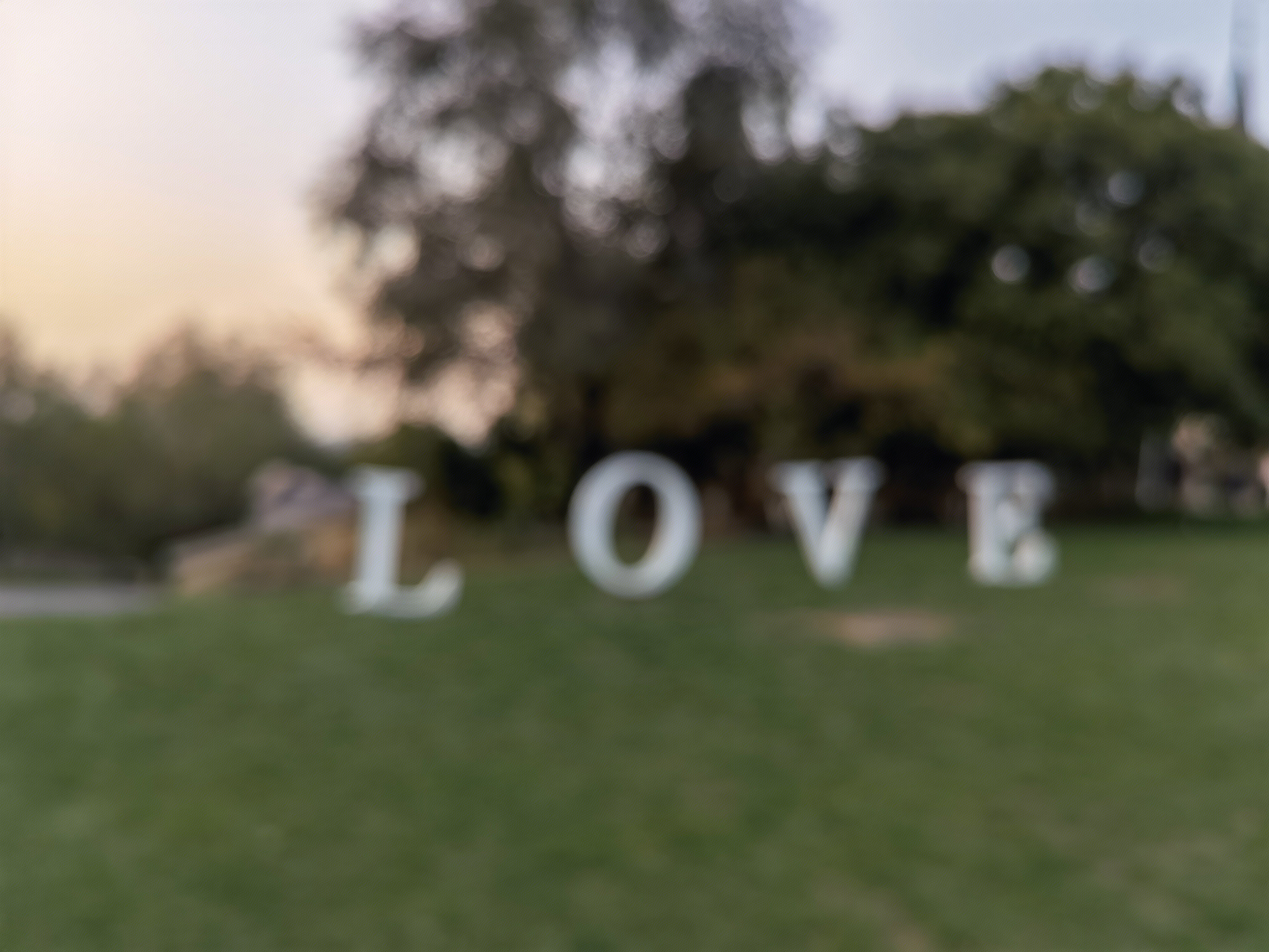 LOVE 北京张裕爱斐堡酒庄