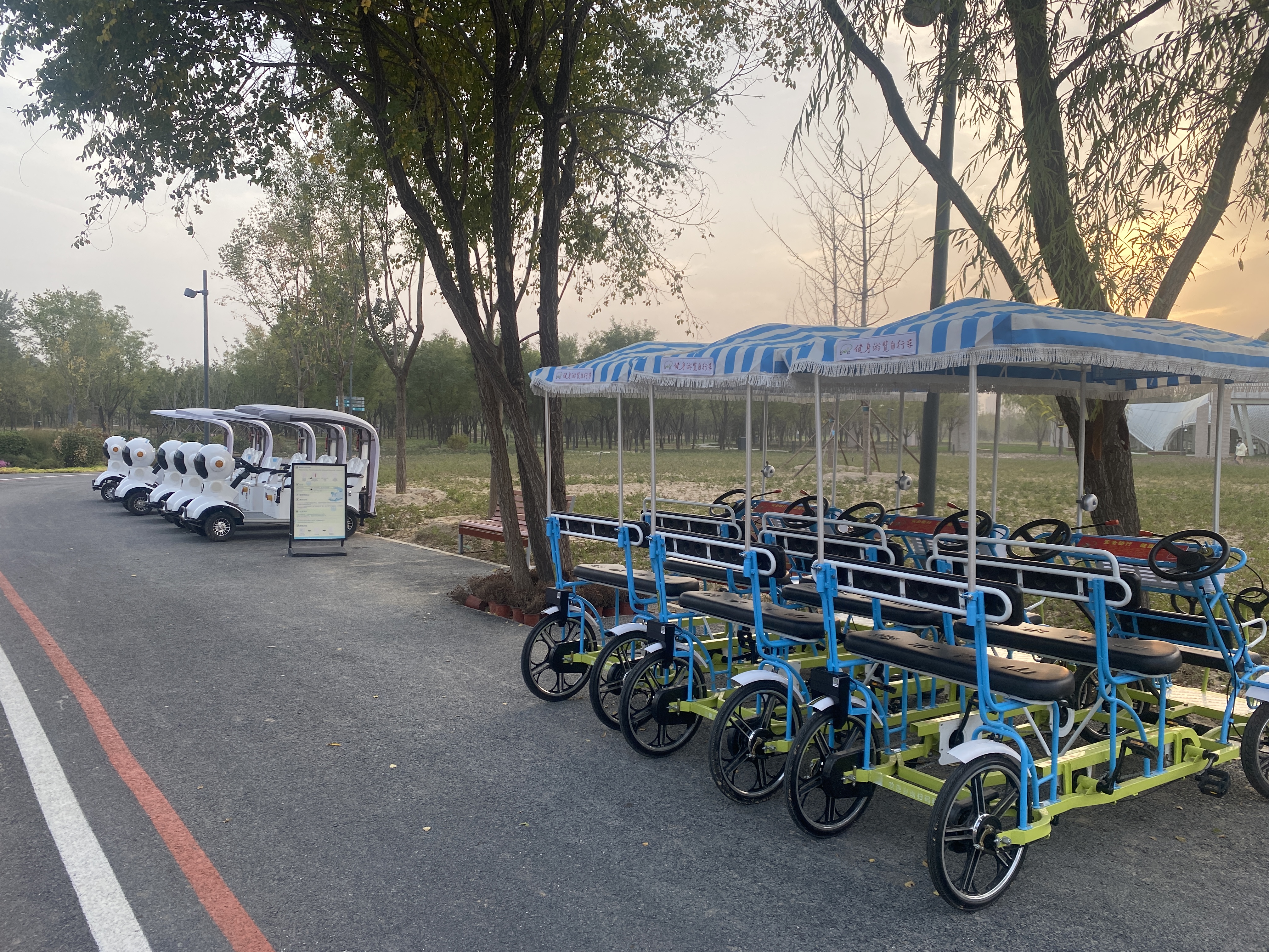 景区 骑行 多人脚蹬车