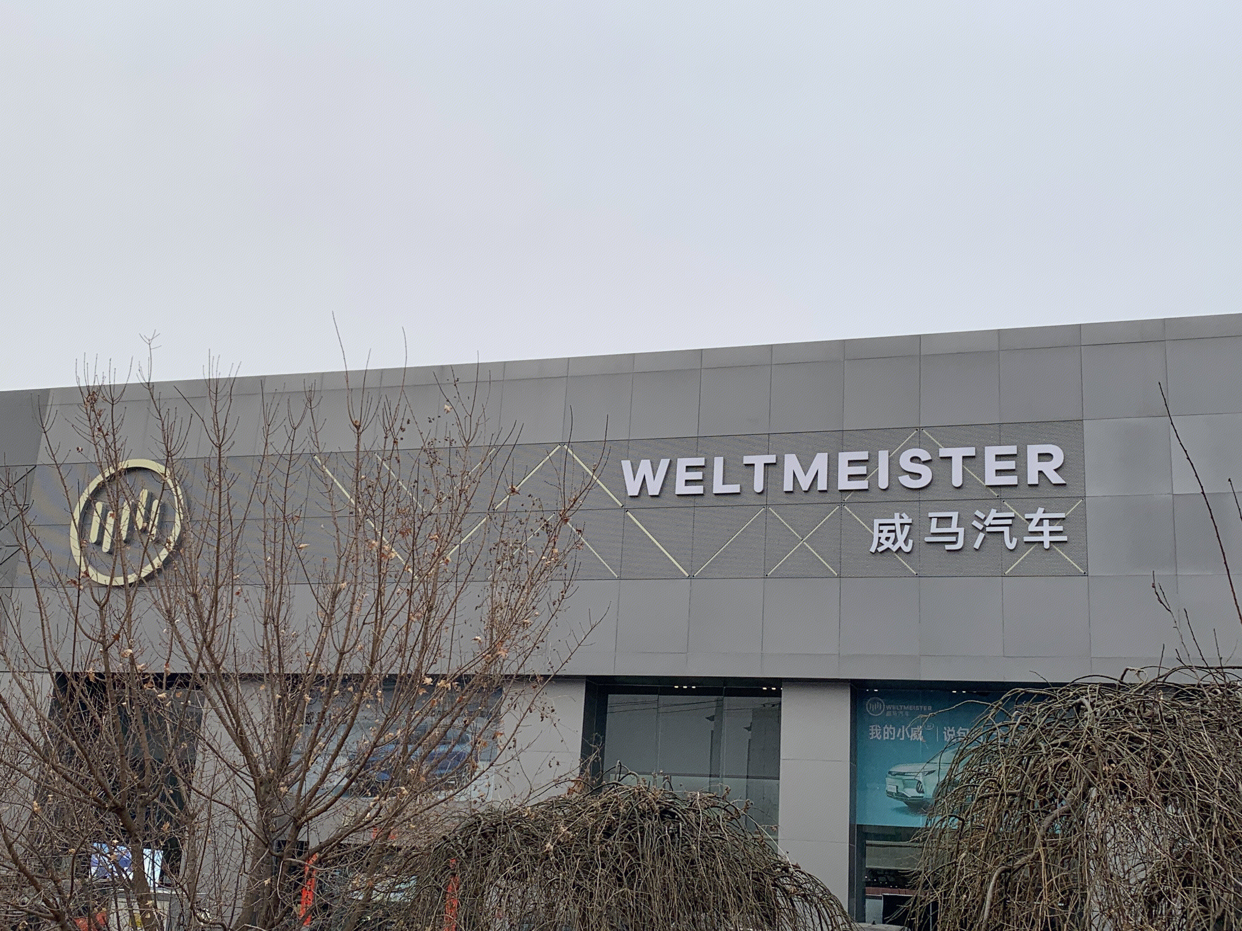 威马汽车 WELTMEISTER 新能源 电动车