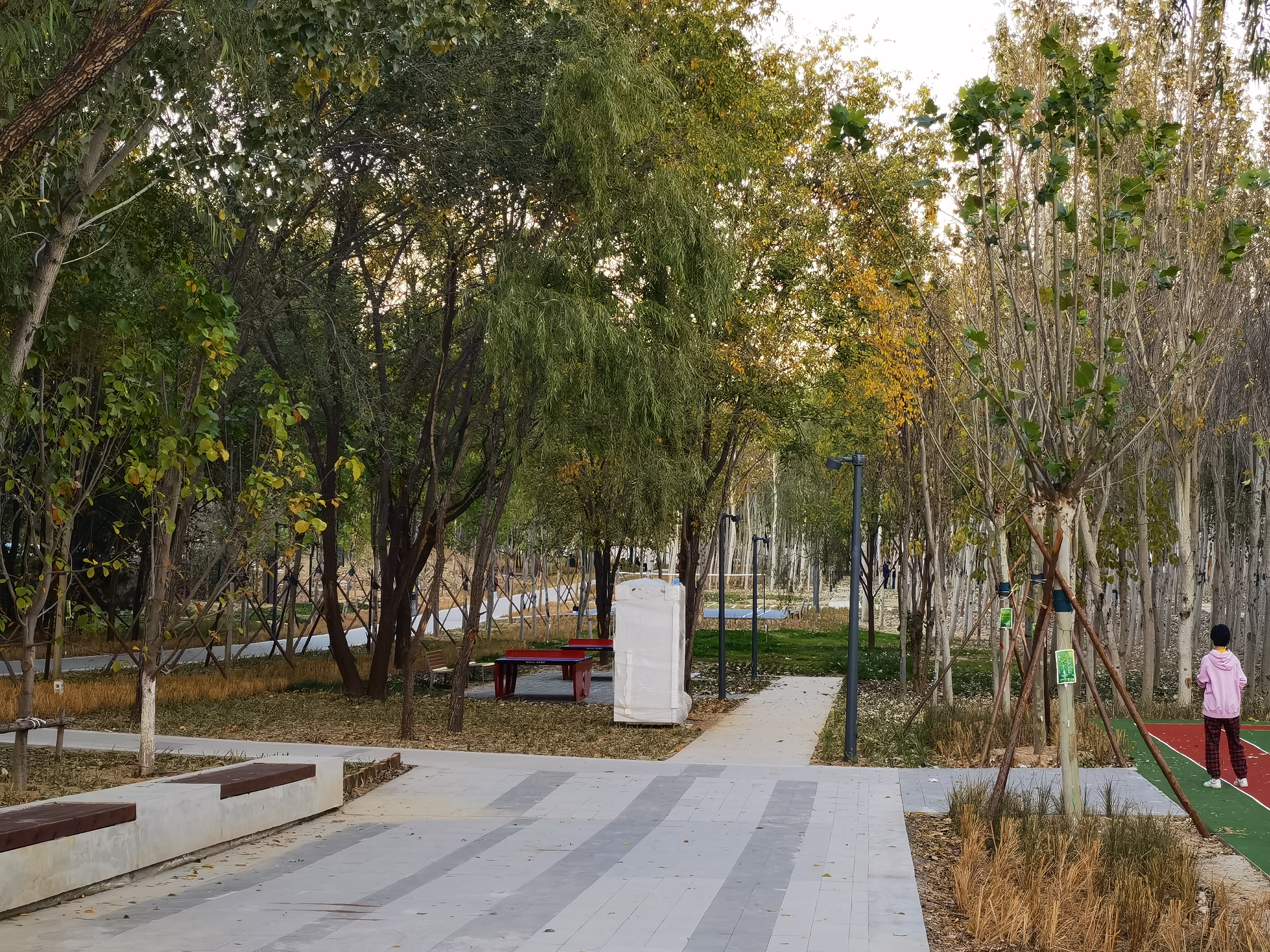 体育运动 北京温榆河公园