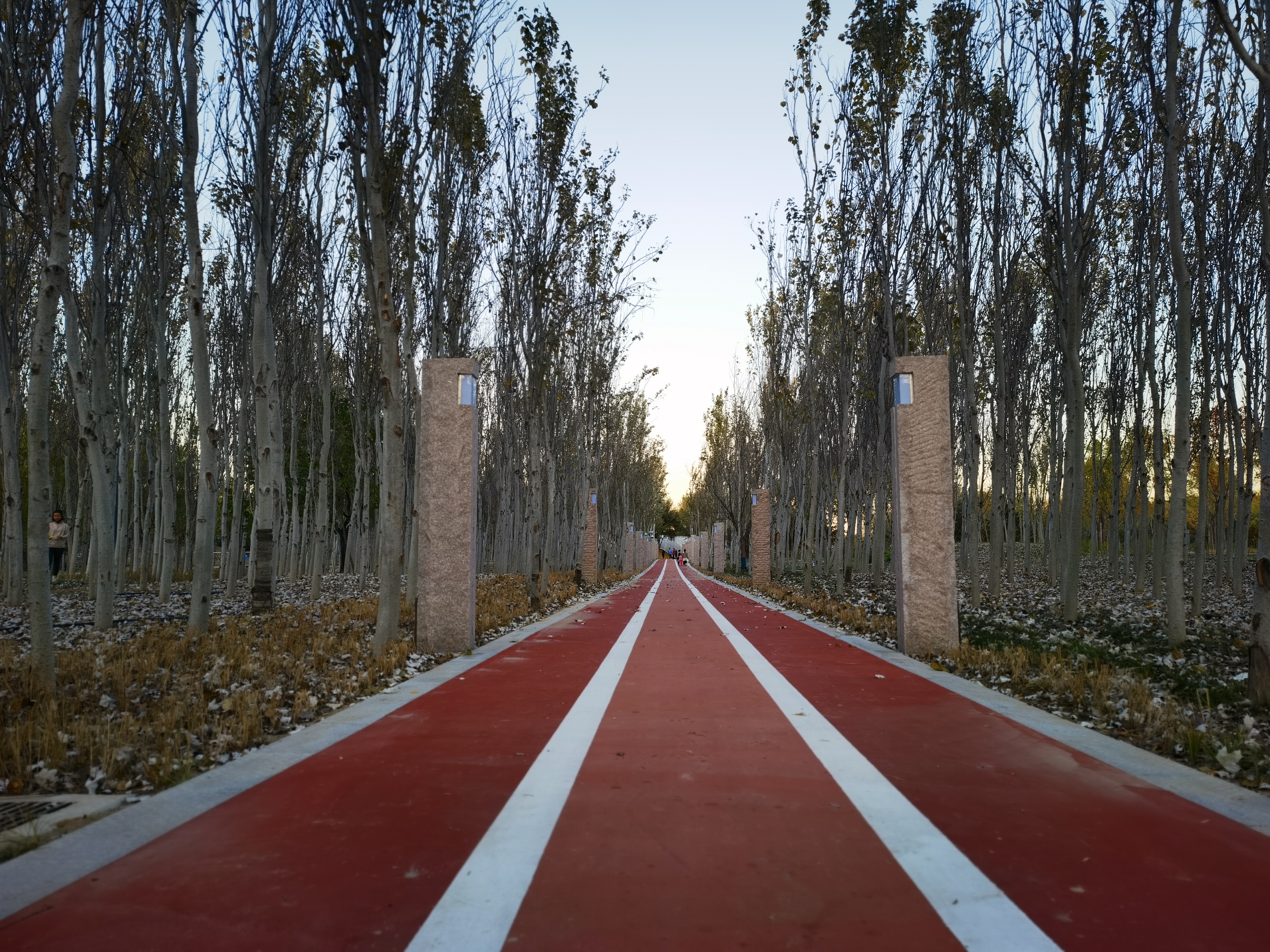 运动步道 北京温榆河公园