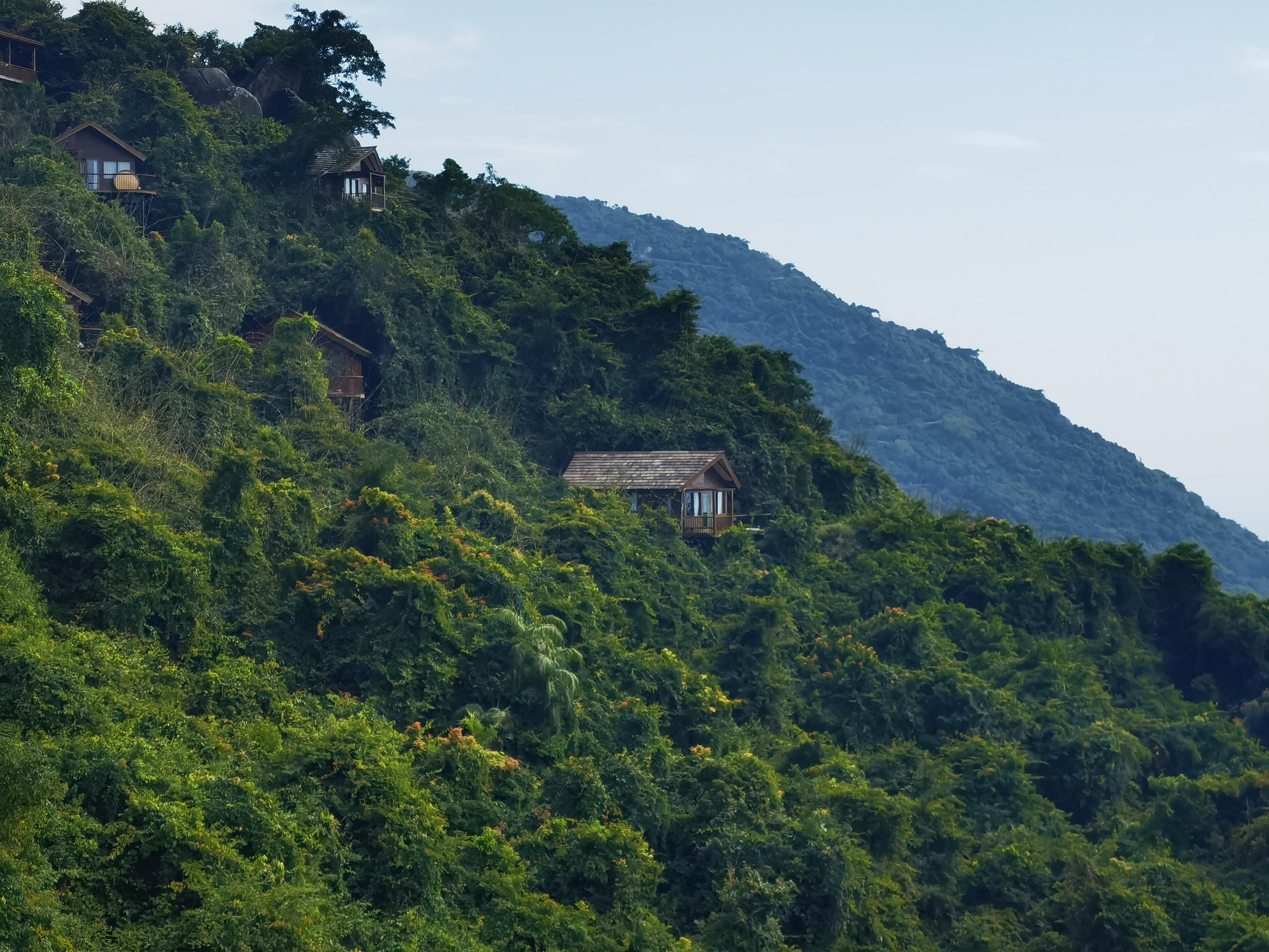 海南三亚亚龙湾森林公园 鸟巢酒店