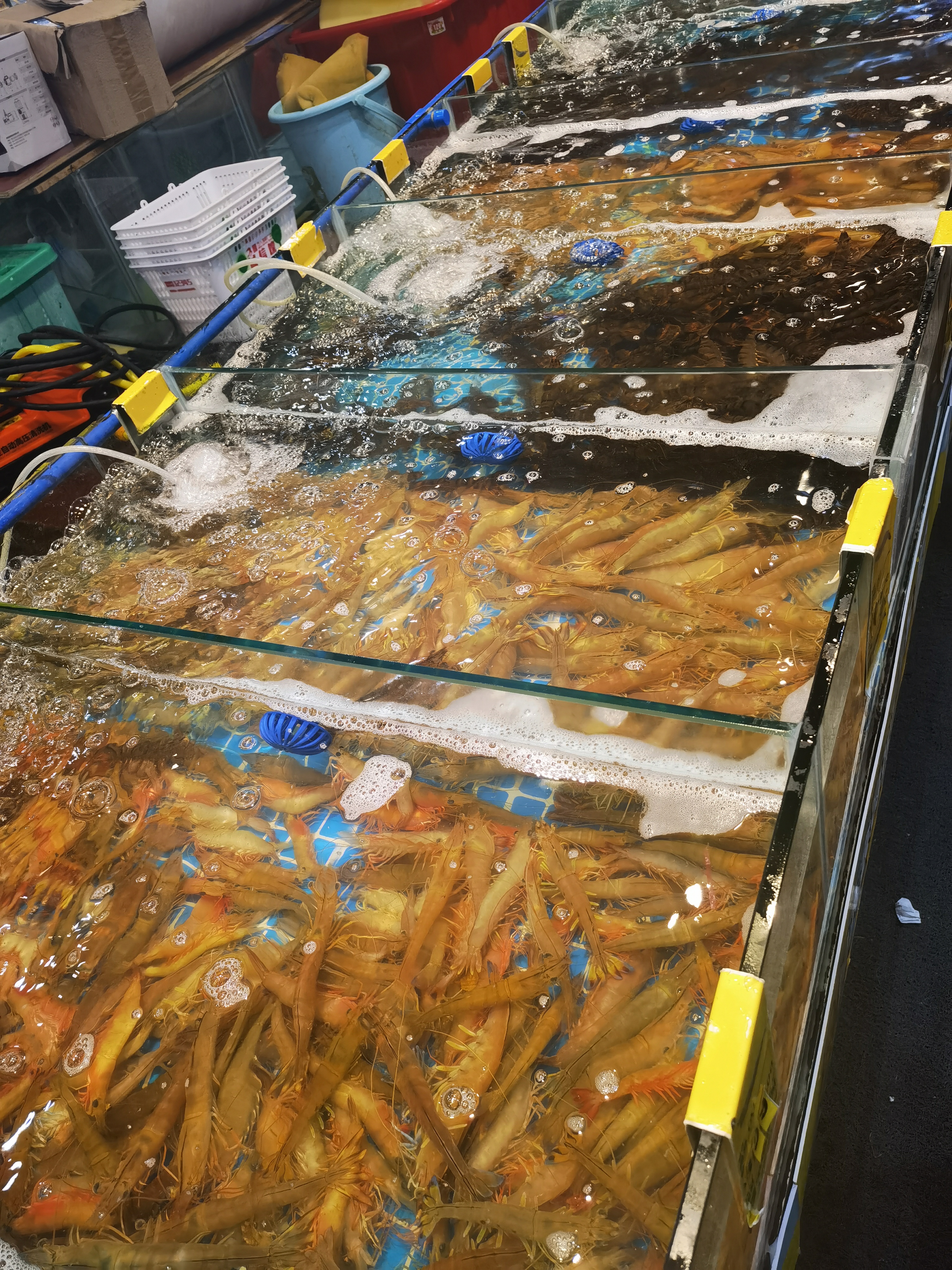 生猛海鲜 鱼虾蟹