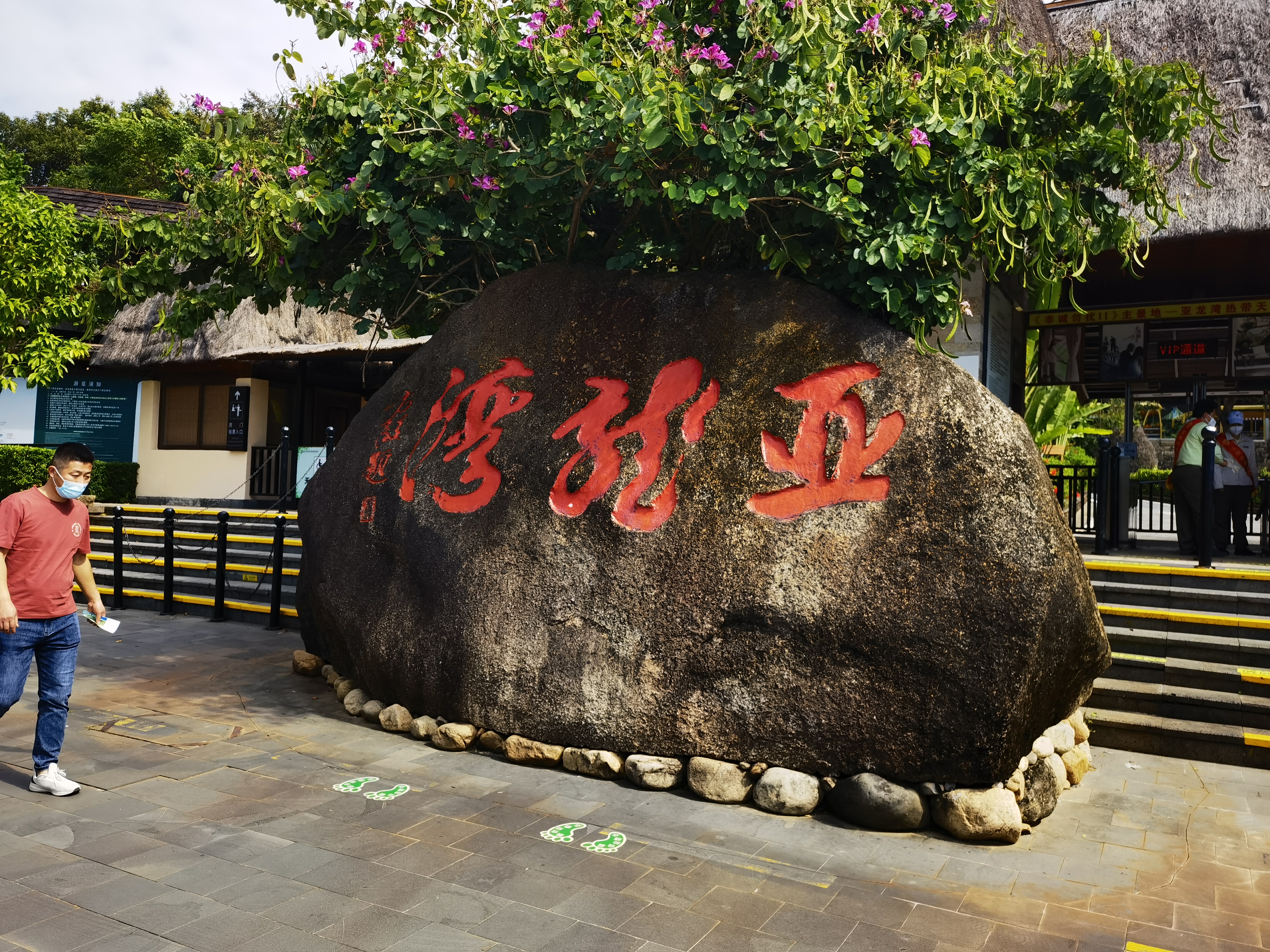 海南三亚 亚龙湾热带天堂森林公园