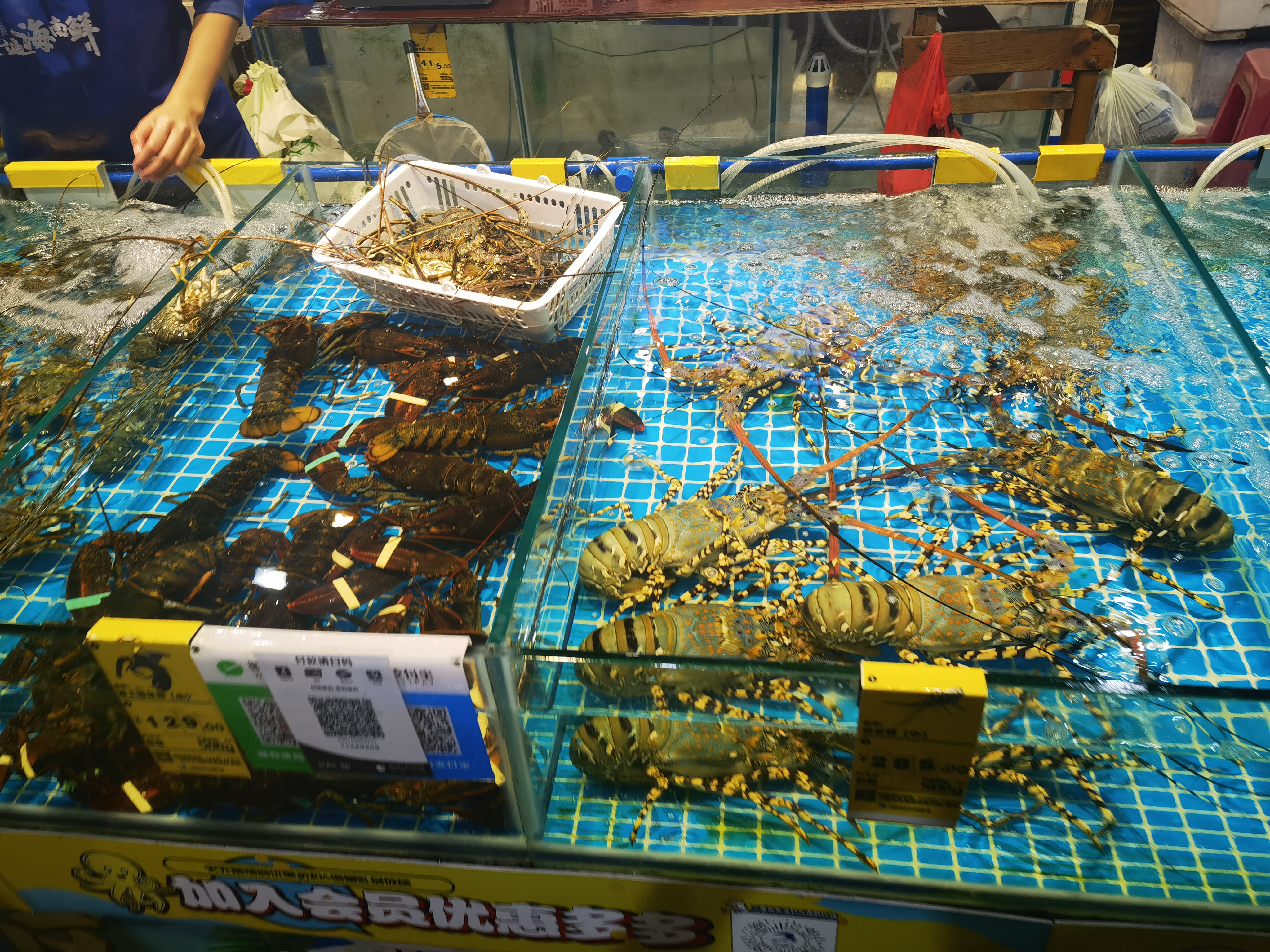 龙虾 生猛海鲜 鱼虾蟹