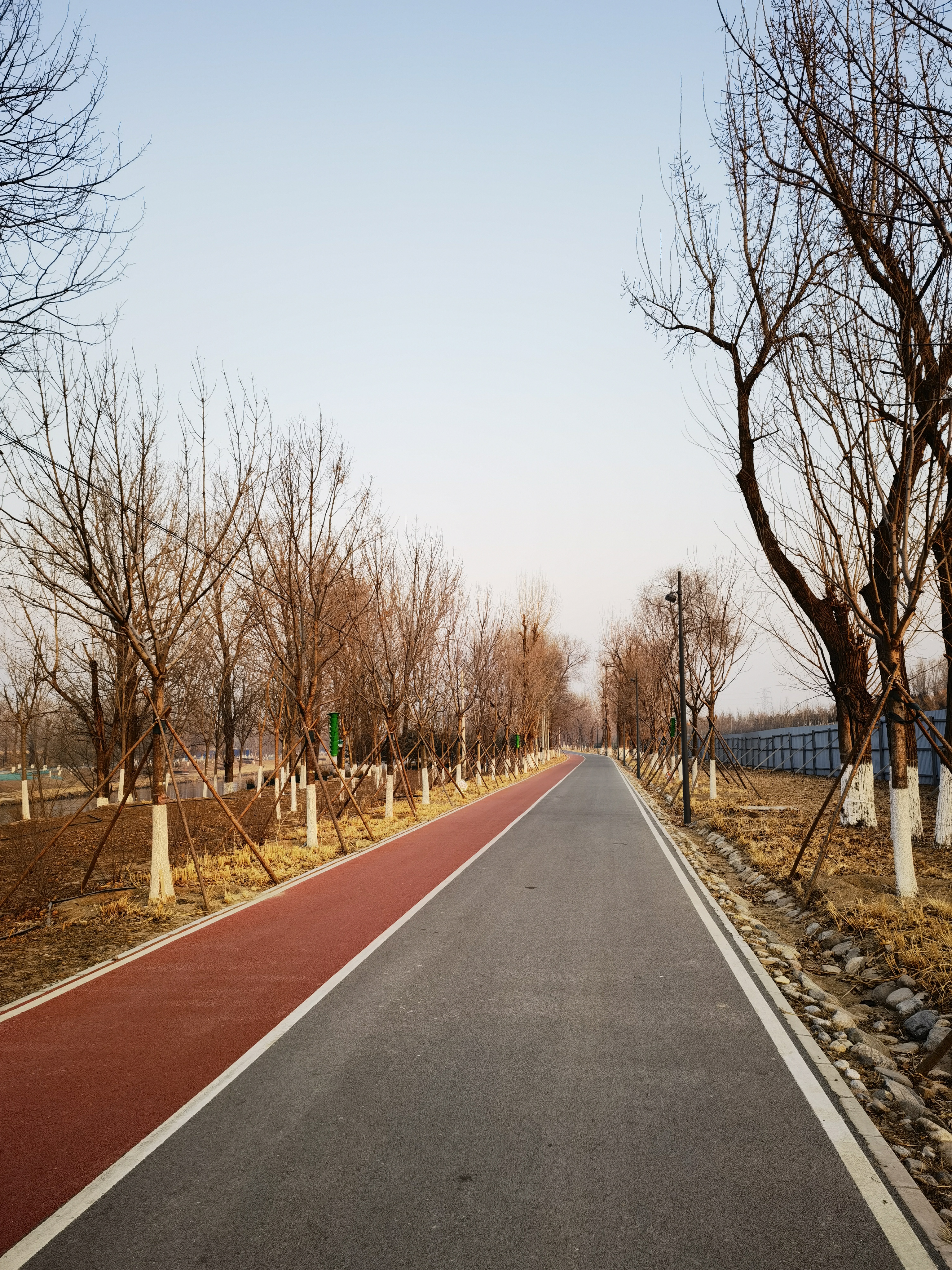 自行车道 人行道 运动健身步道