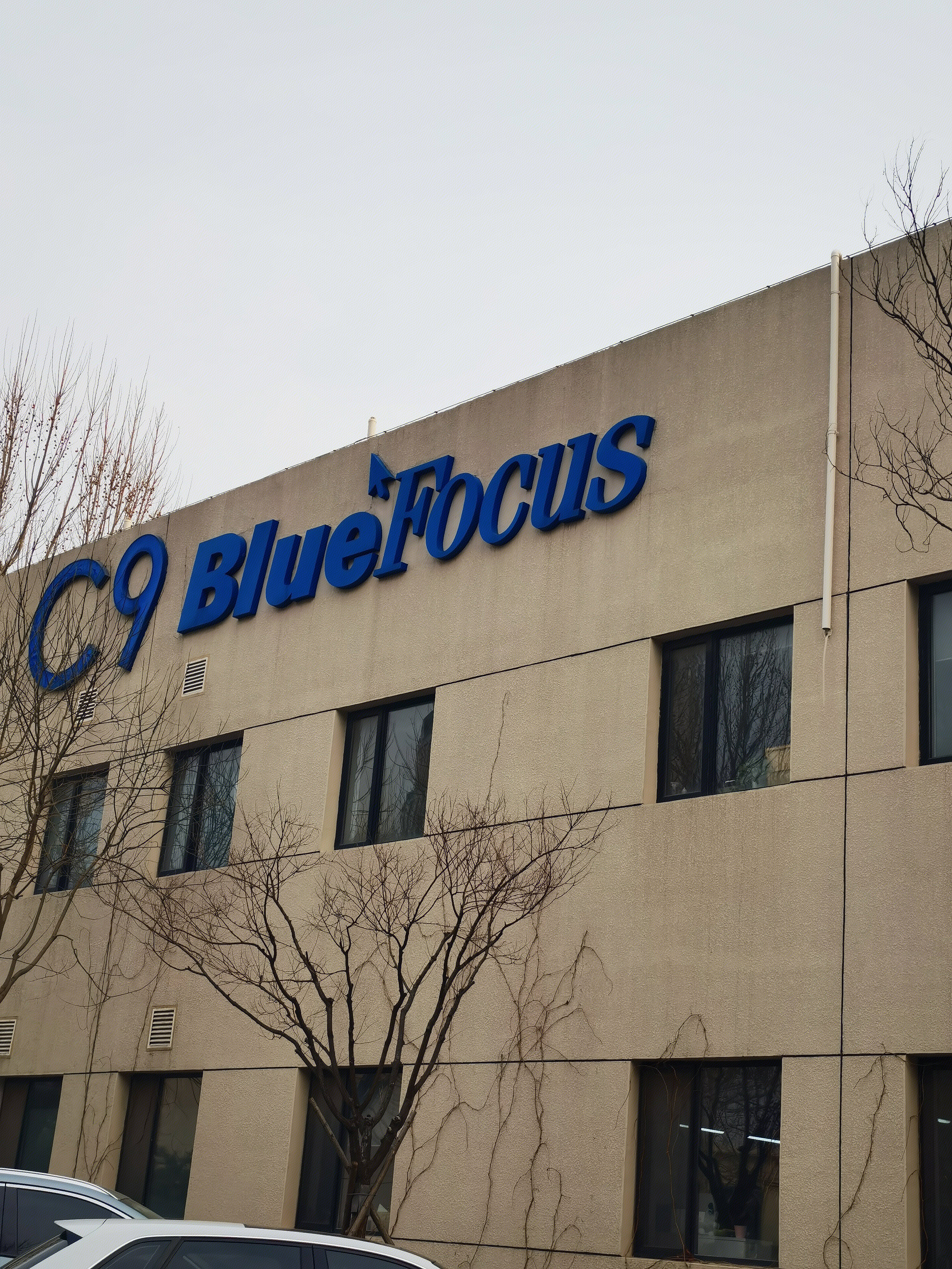 蓝色光标 蓝标 bluefocus 品牌公关营销