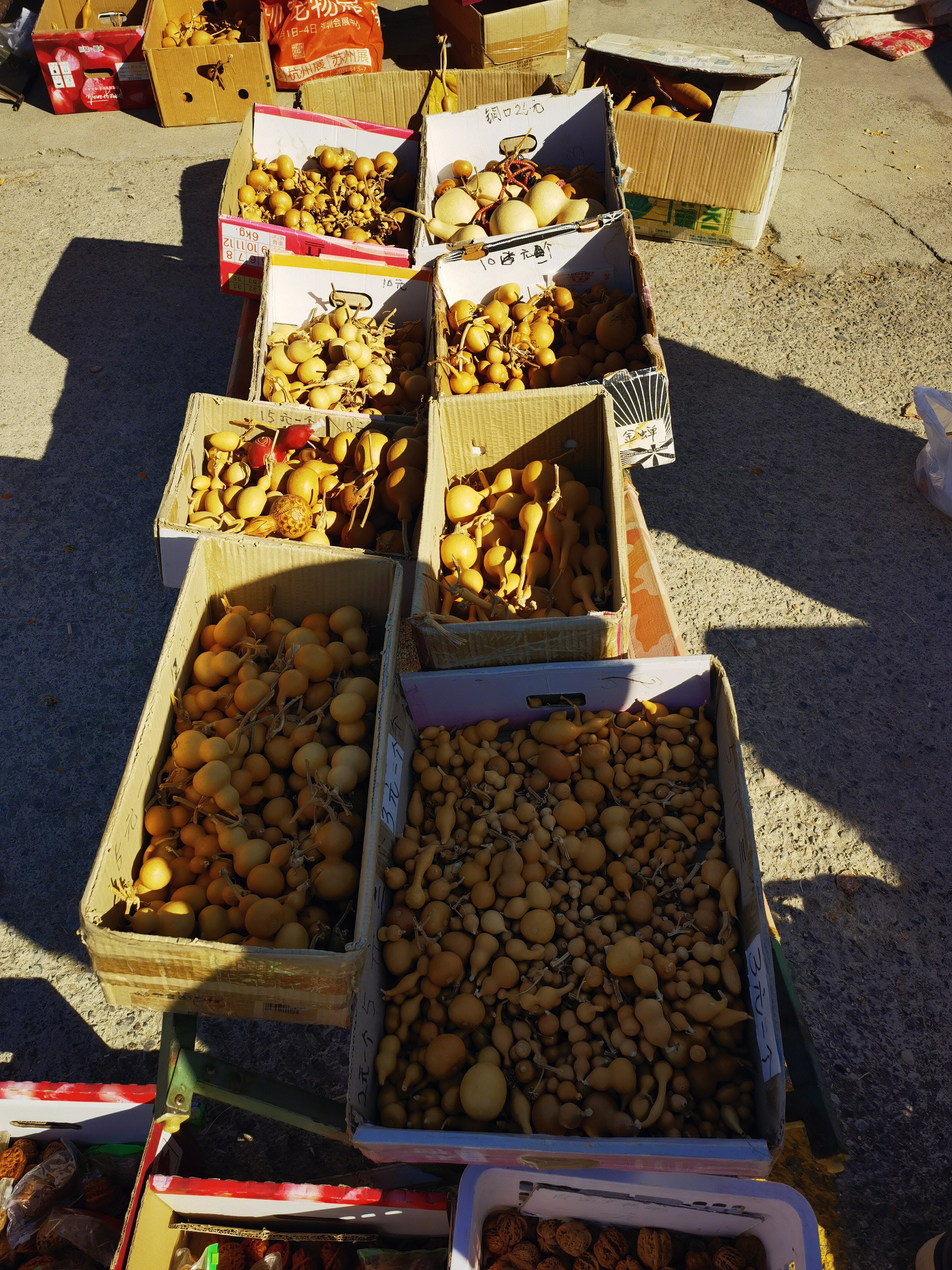 葫芦 路边摊 花鸟鱼虫市场 集市