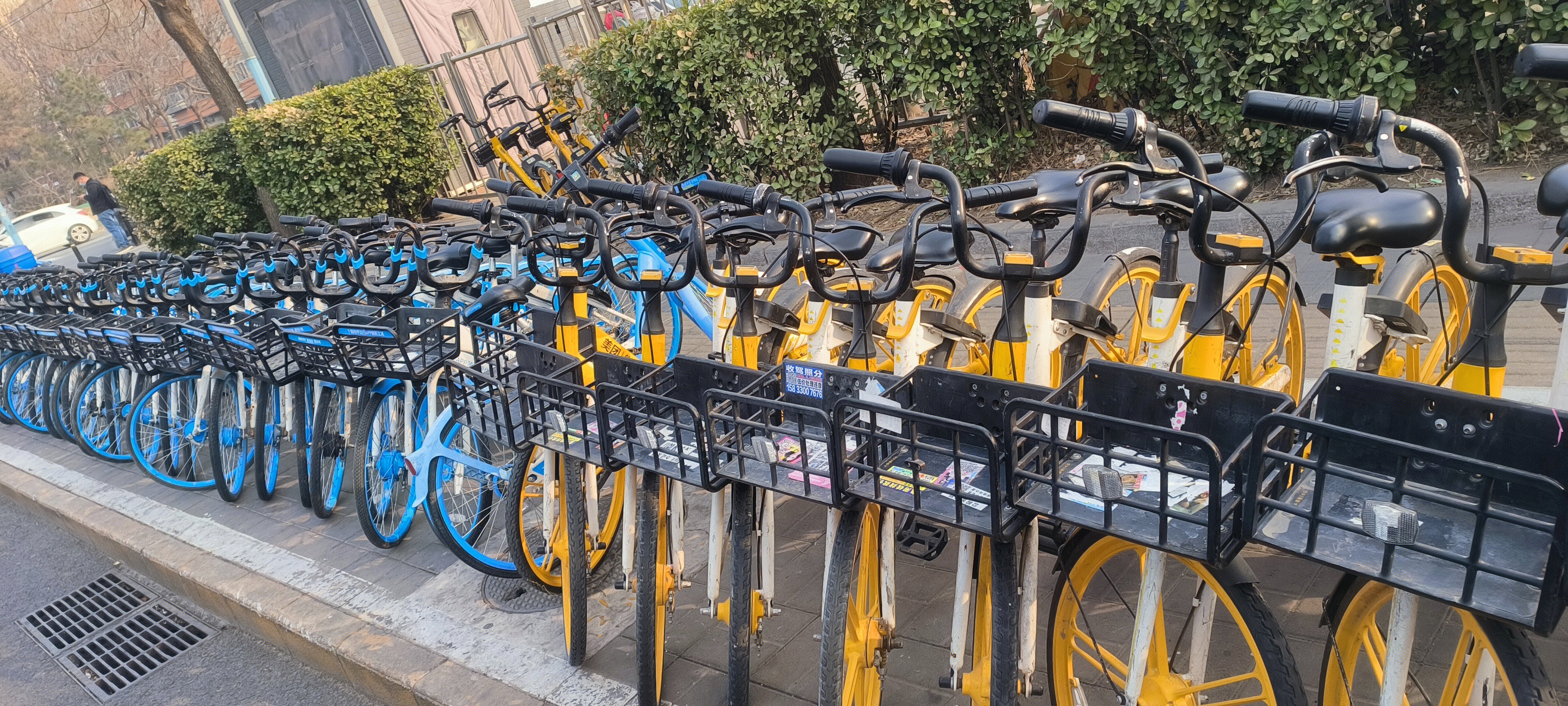 共享单车 美团 哈啰单车