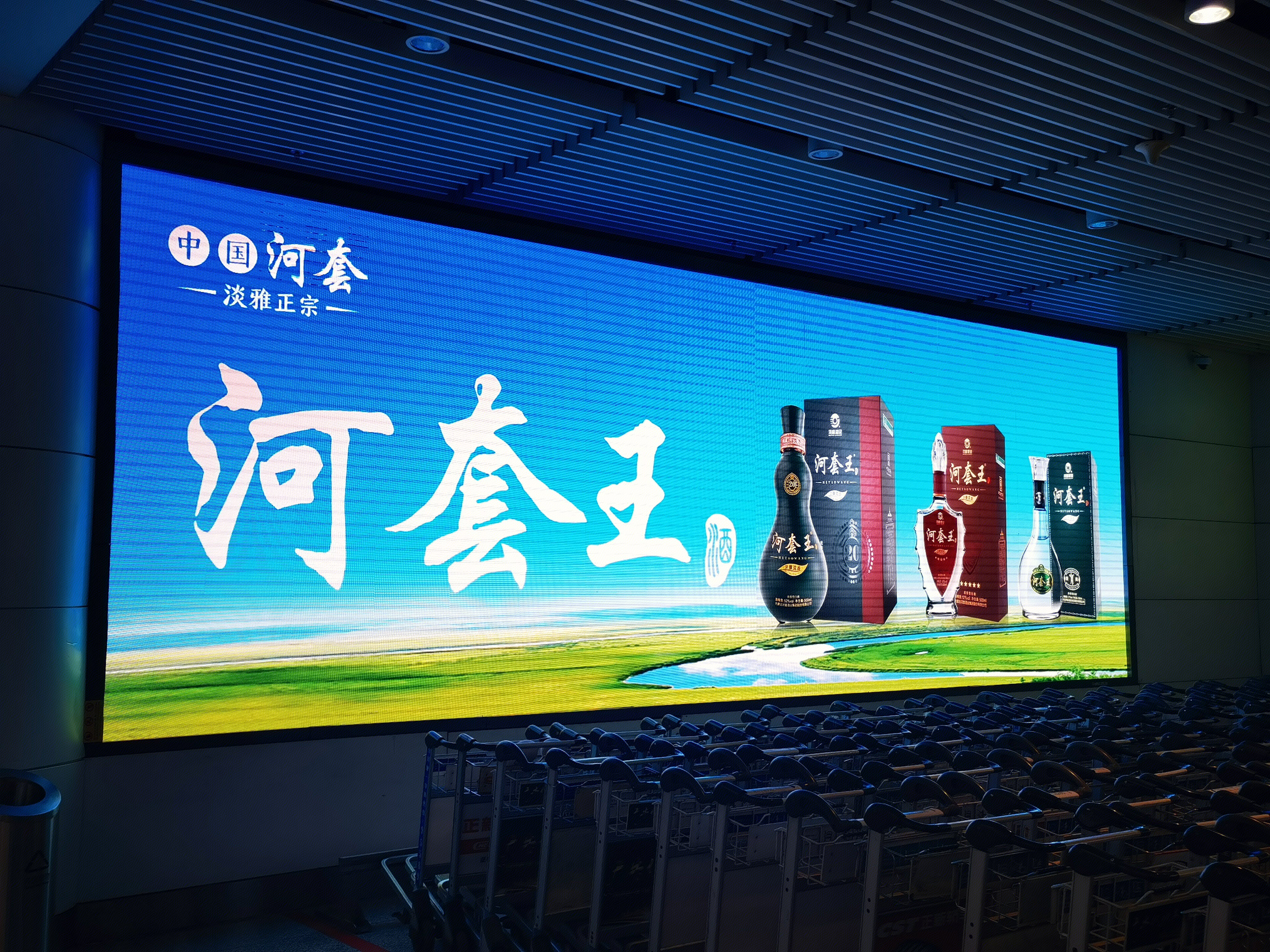 河套王 白酒 河套酒业