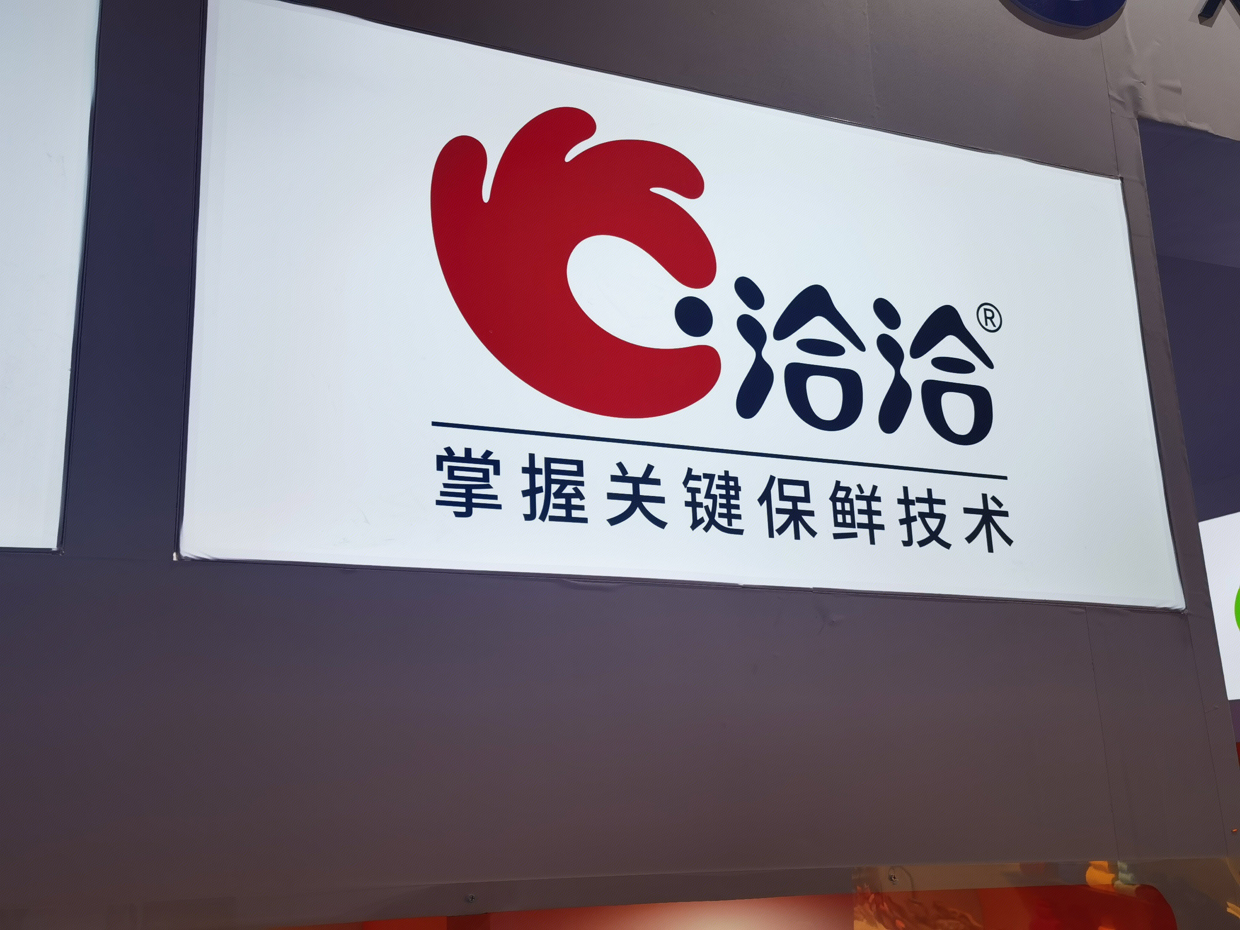 洽洽食品 瓜子 干果