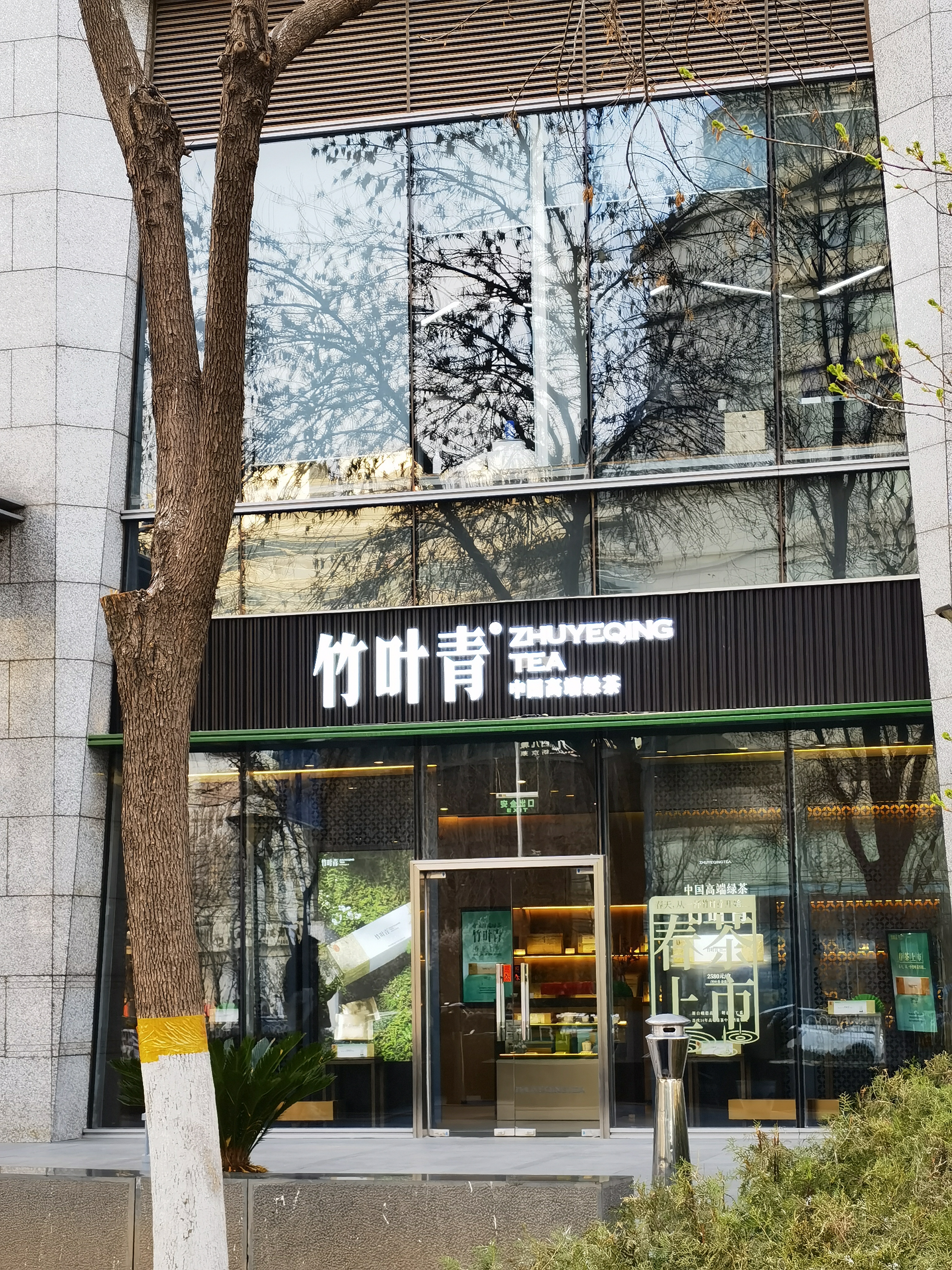 竹叶青 茶叶 绿茶