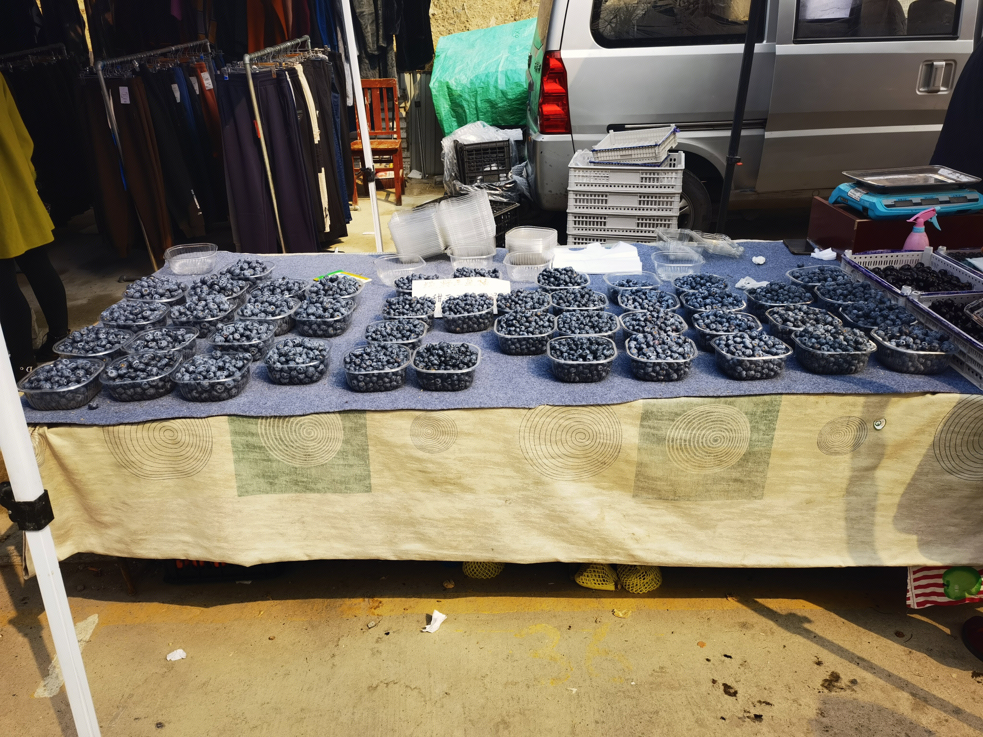 蓝莓 集市 菜市场