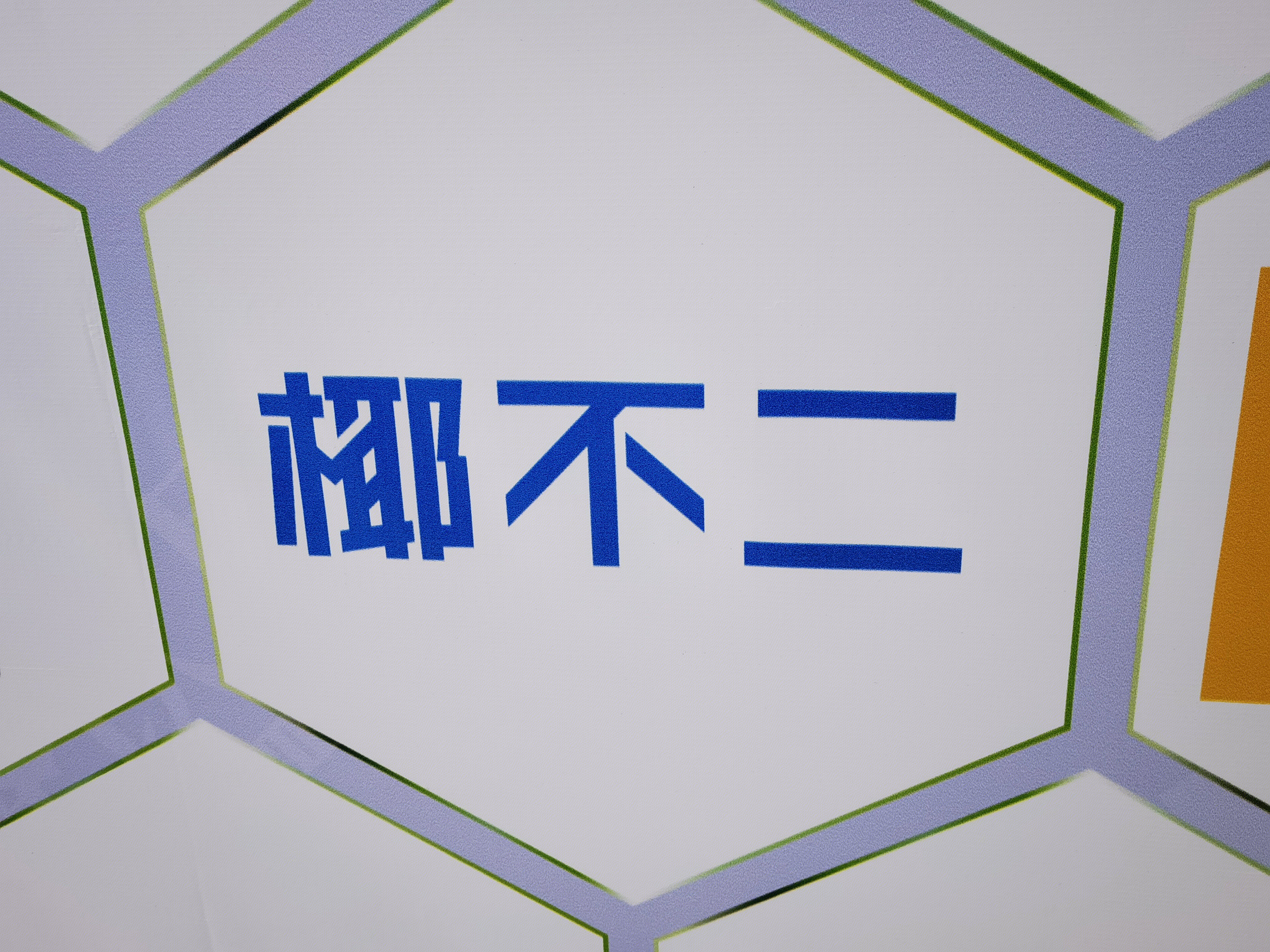 椰不二 椰子 椰类饮品