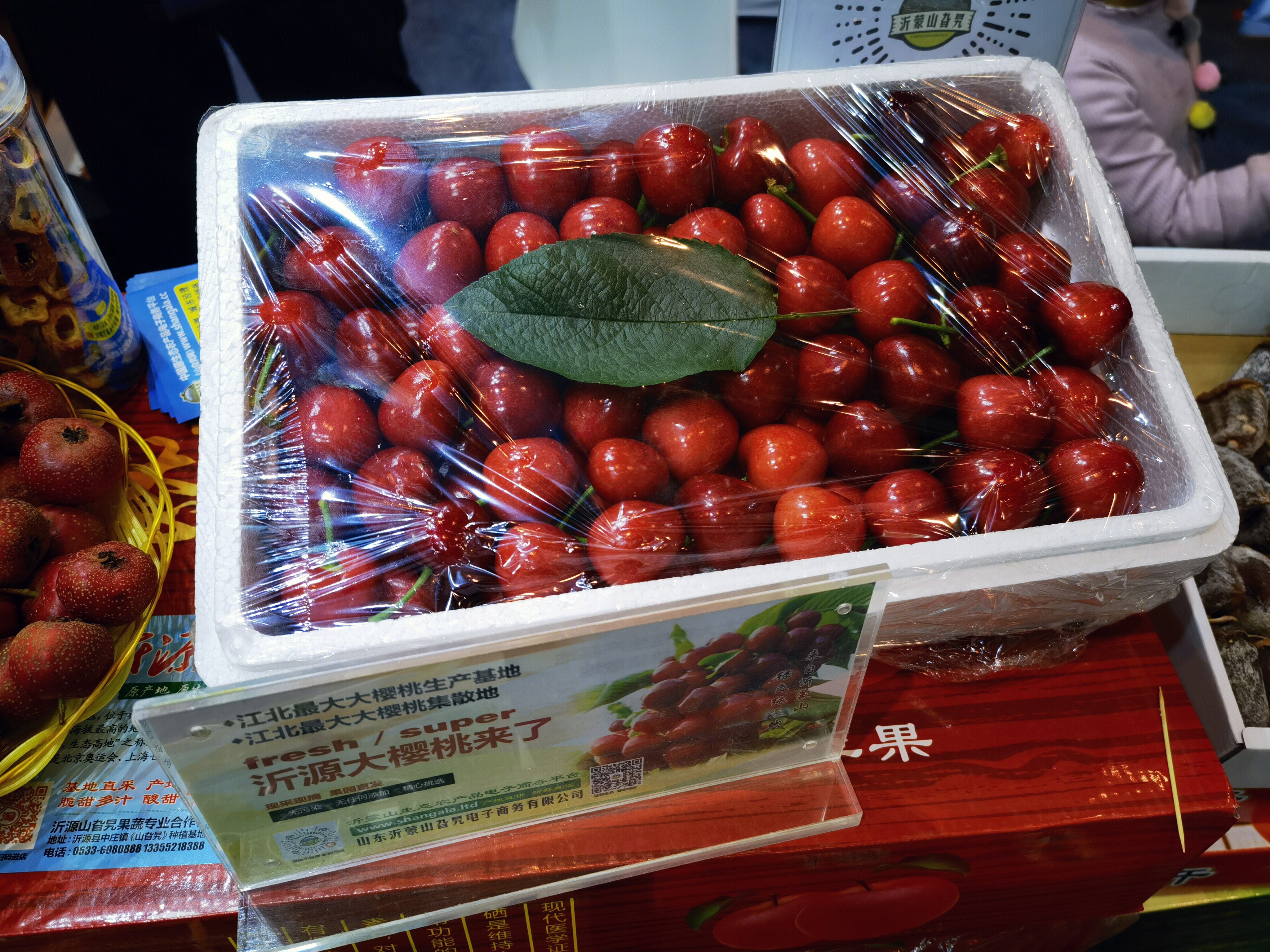 樱桃 水果 沂源 山东