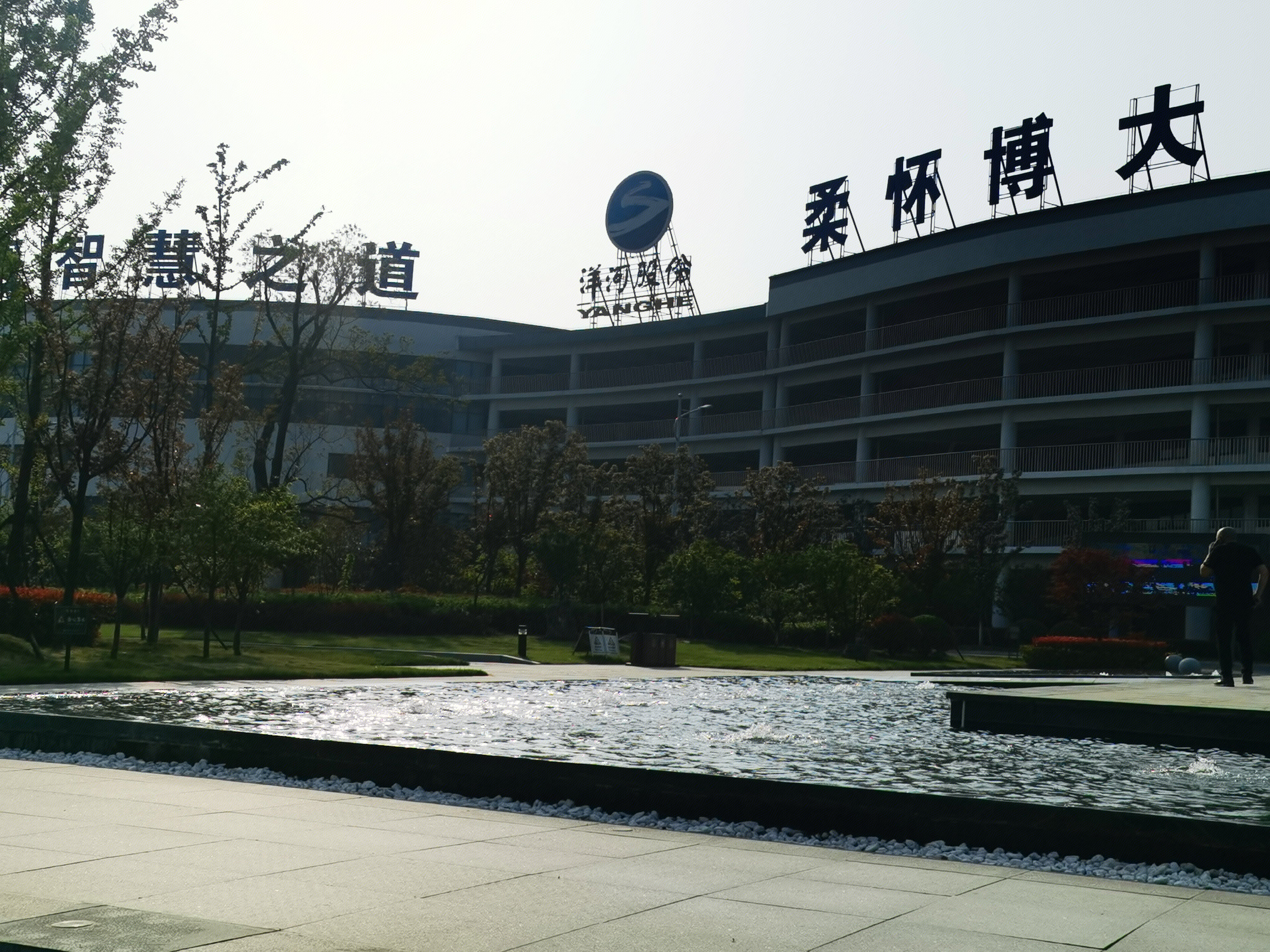 洋河酒厂 洋河股份 白酒