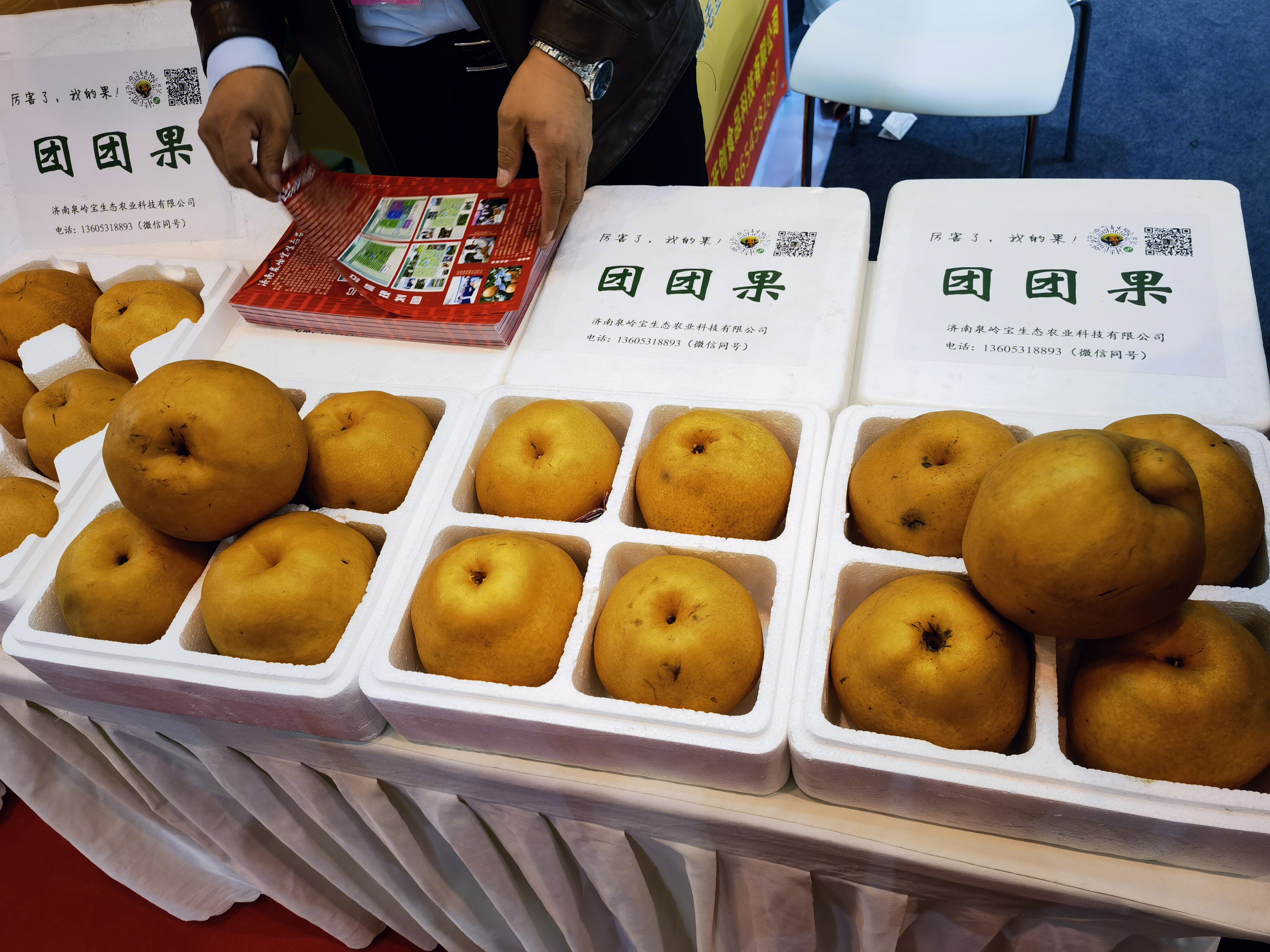 团团果 梨 山东 水果