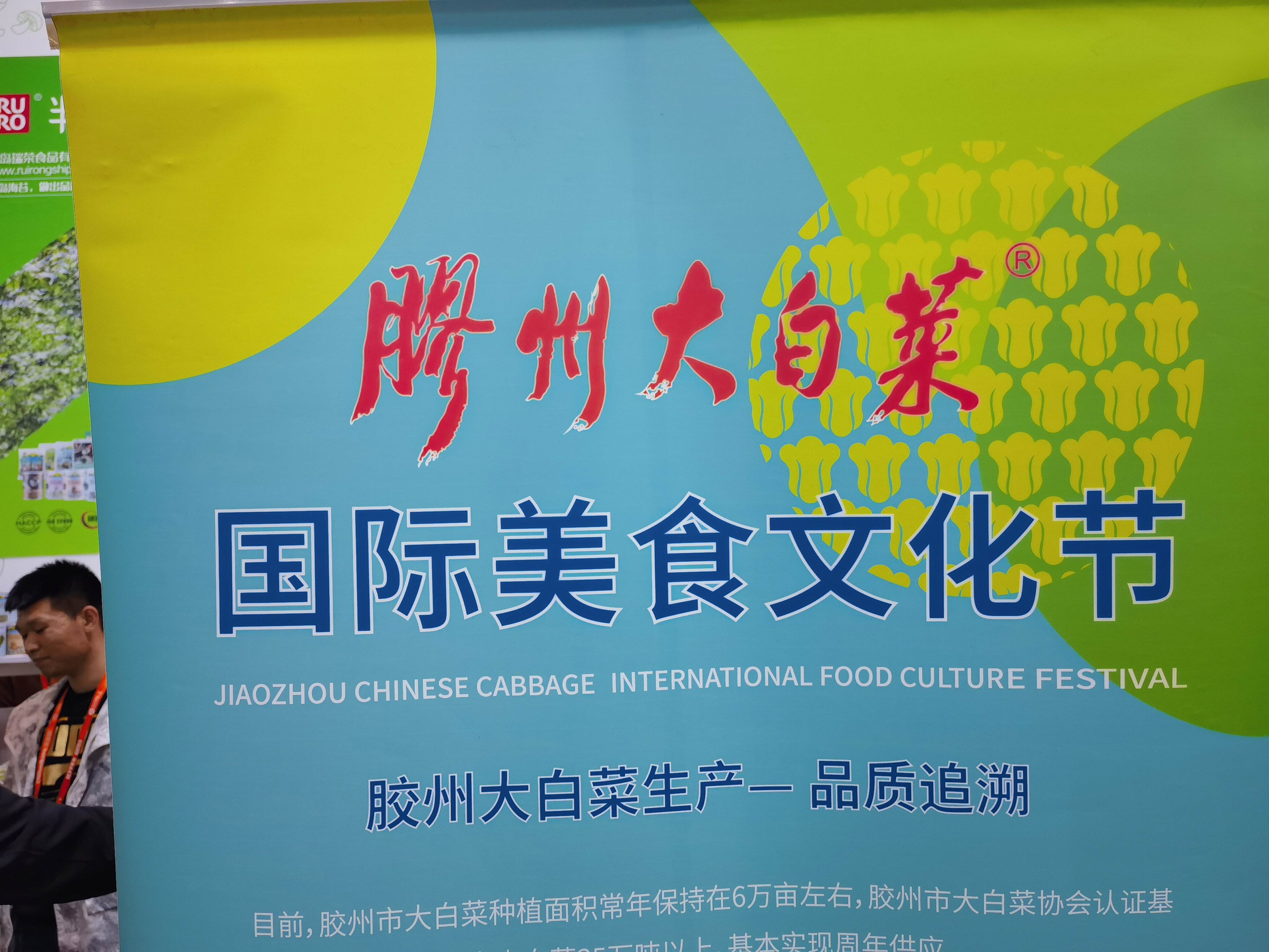 胶州大白菜 山东蔬菜