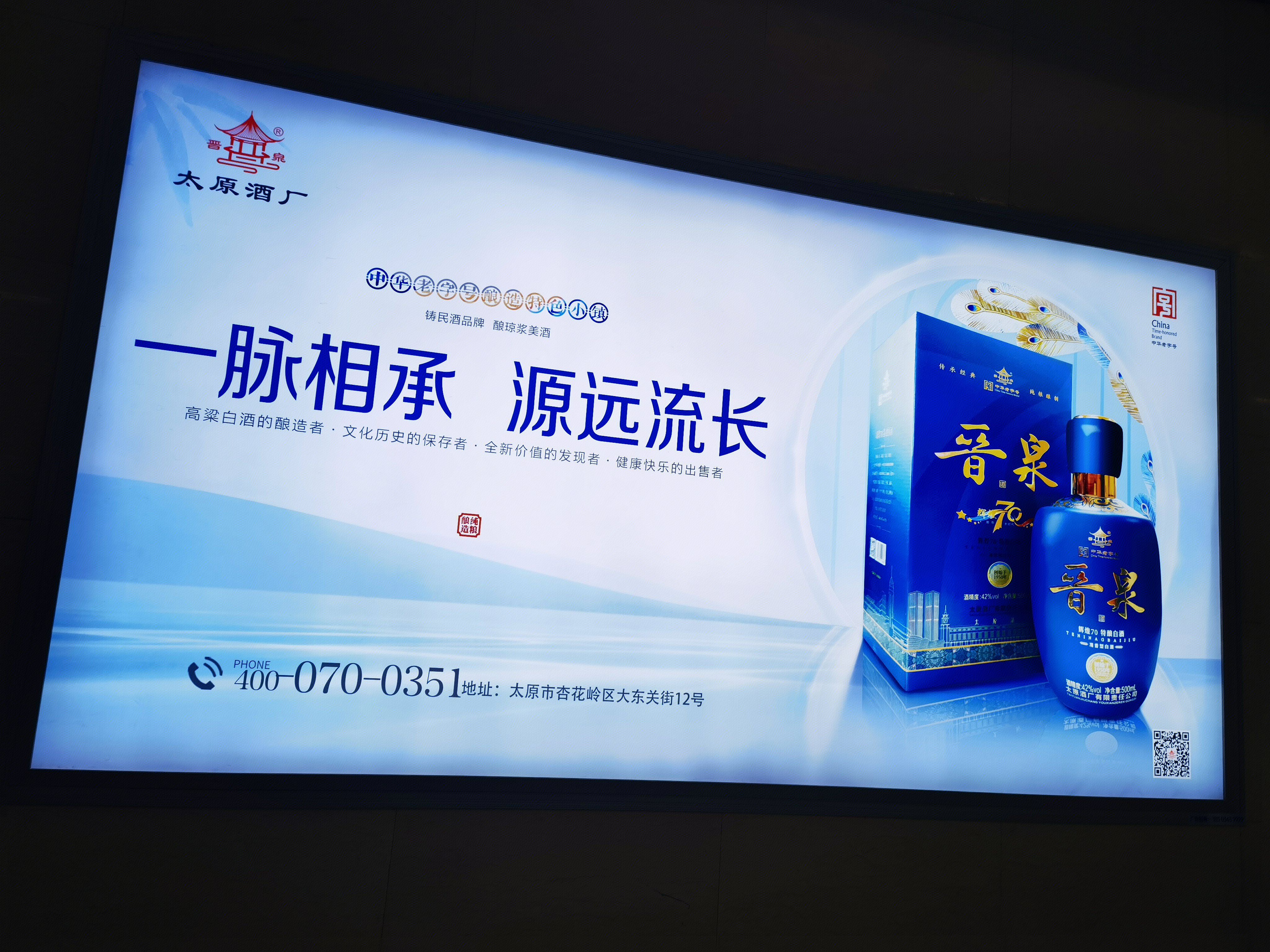 晋泉 高粱白酒 太原酒厂