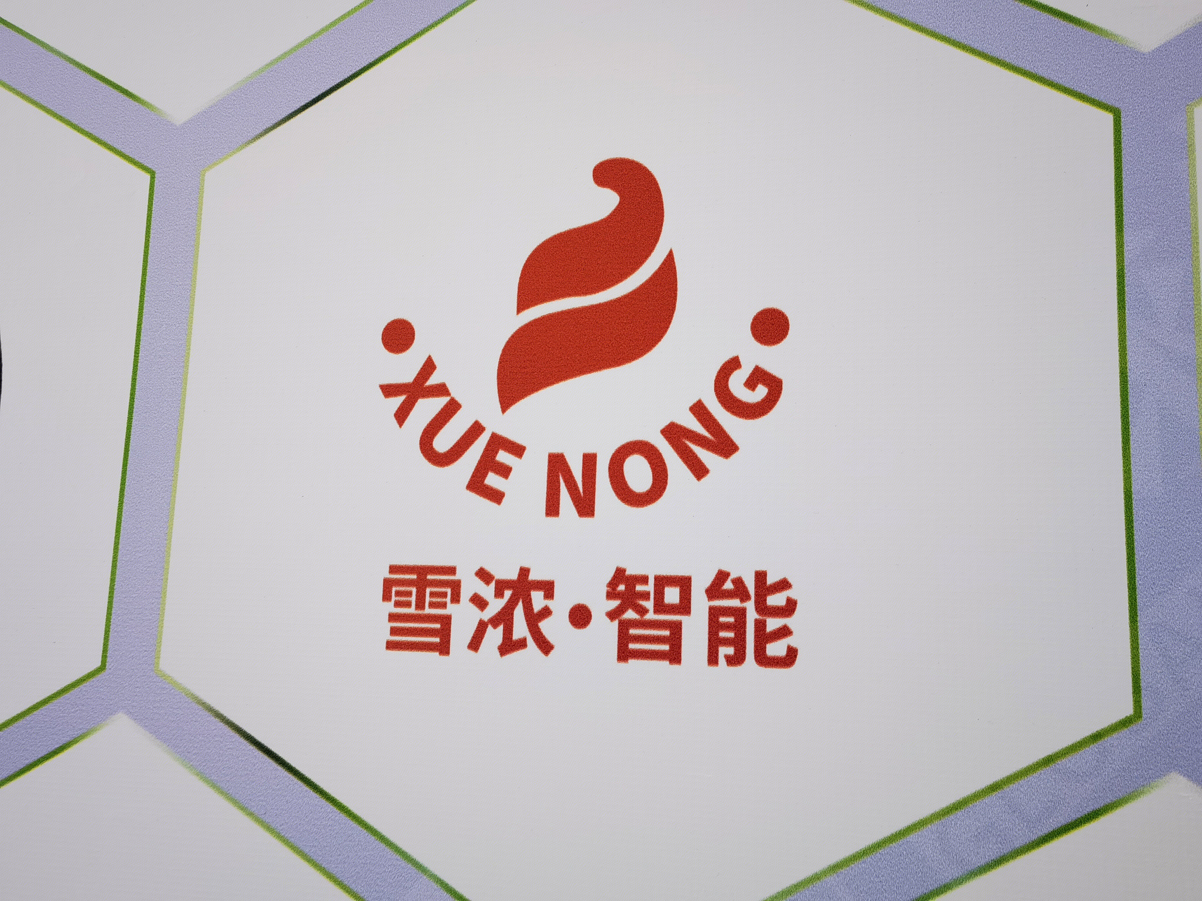 雪浓 智能 冰激凌售卖机