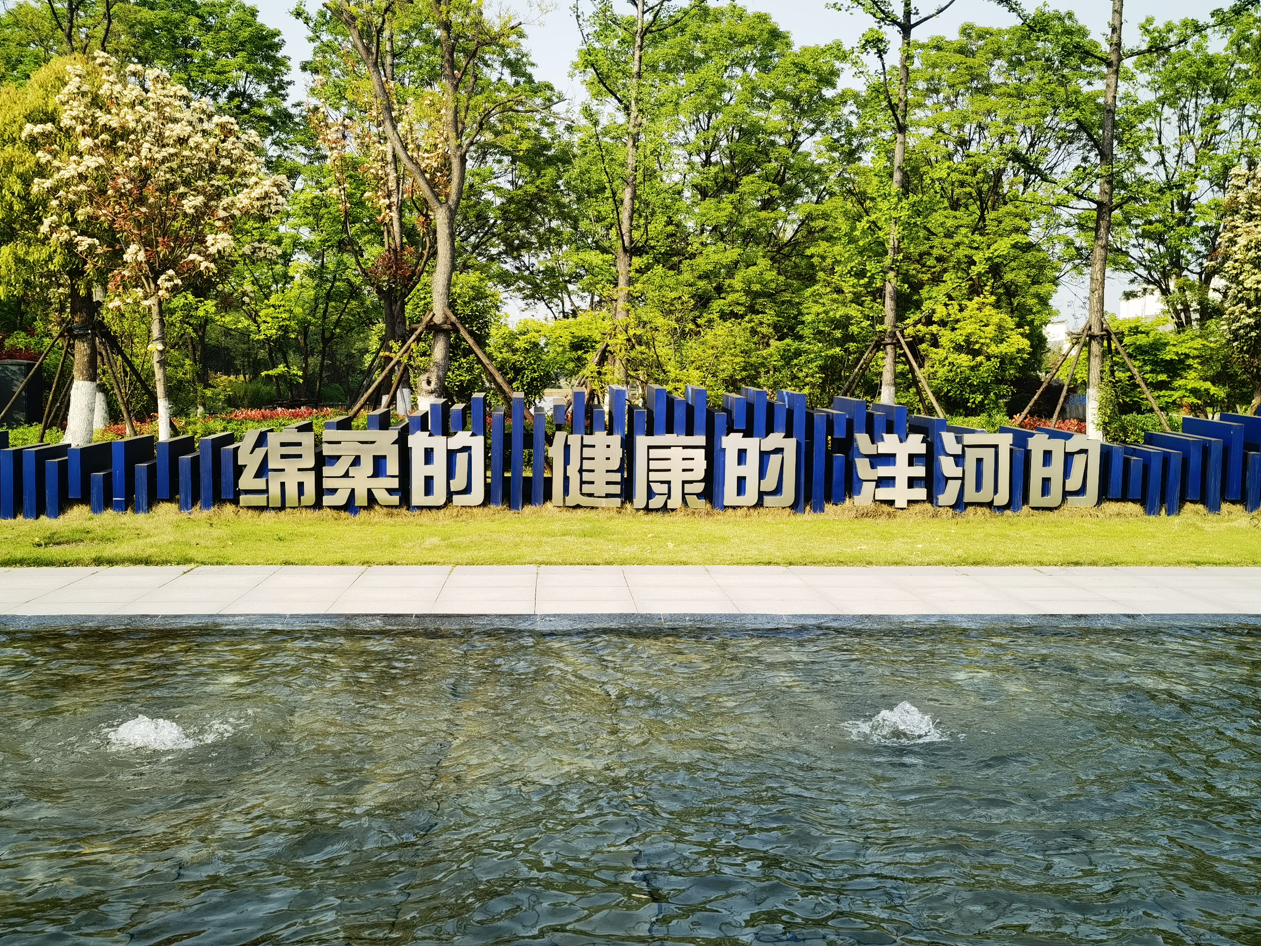 绵柔白酒 洋河酒厂 洋河股份 白酒