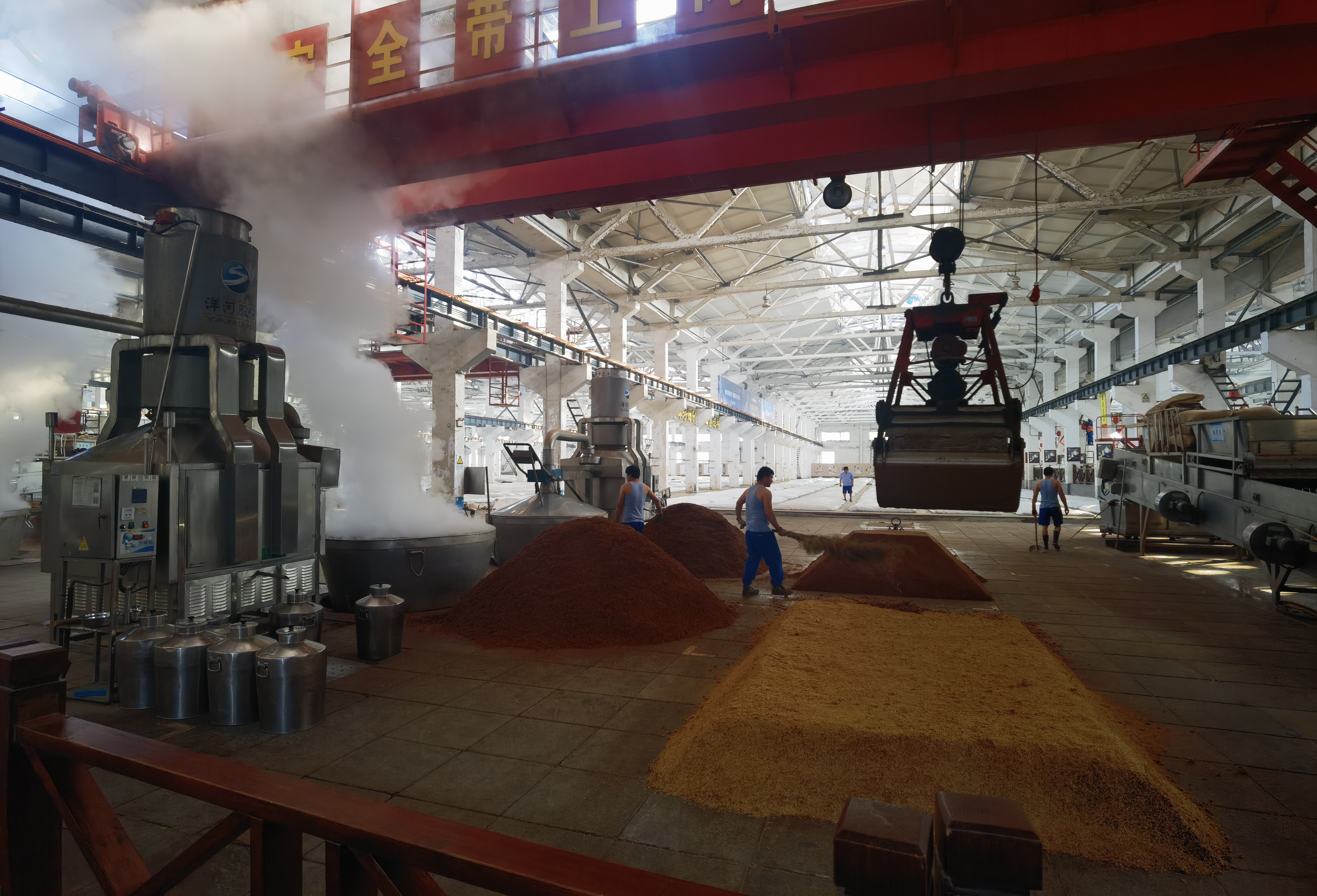 酿酒车间 洋河酒厂 洋河股份