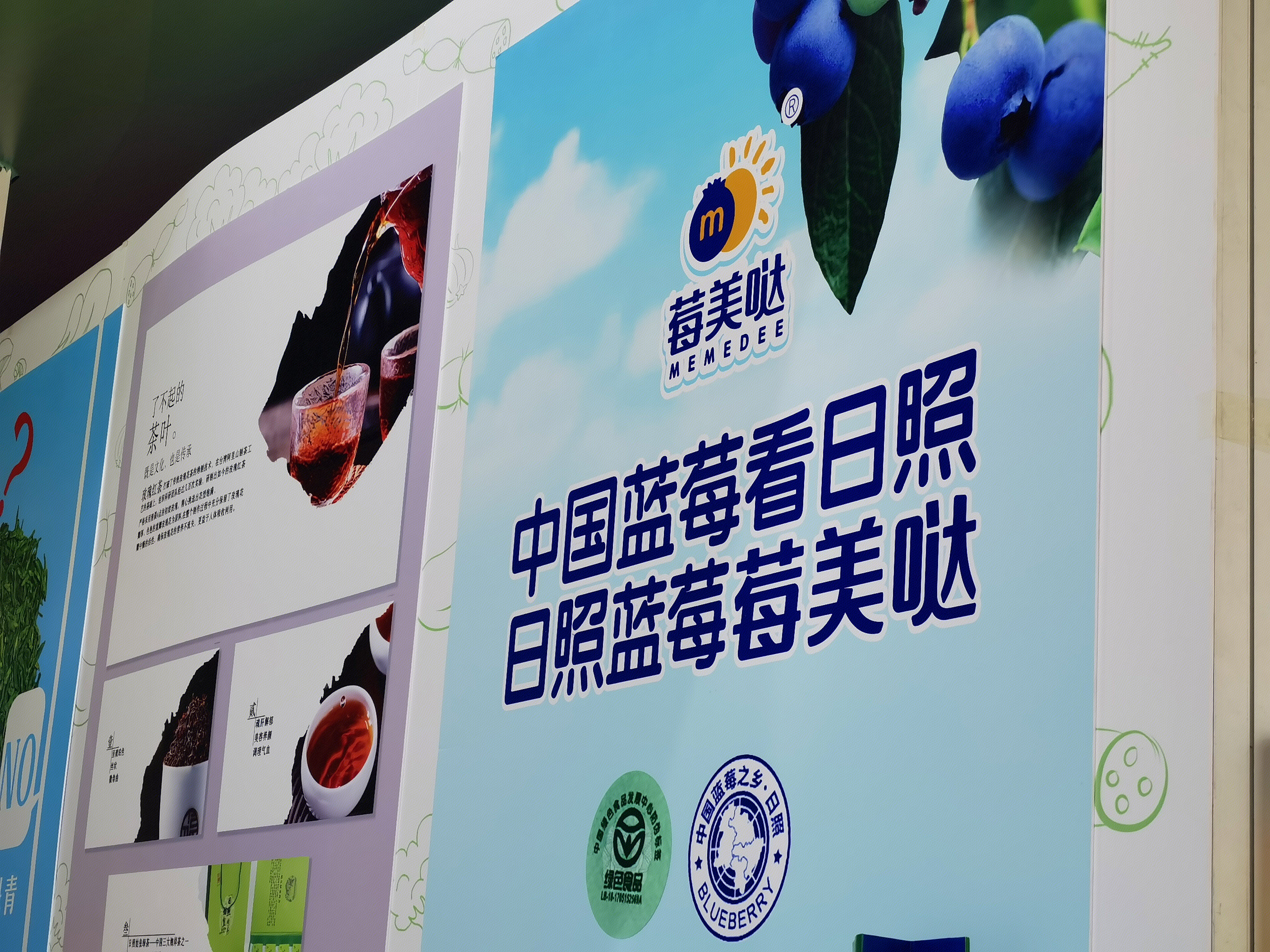 蓝莓 日照蓝莓 莓美哒