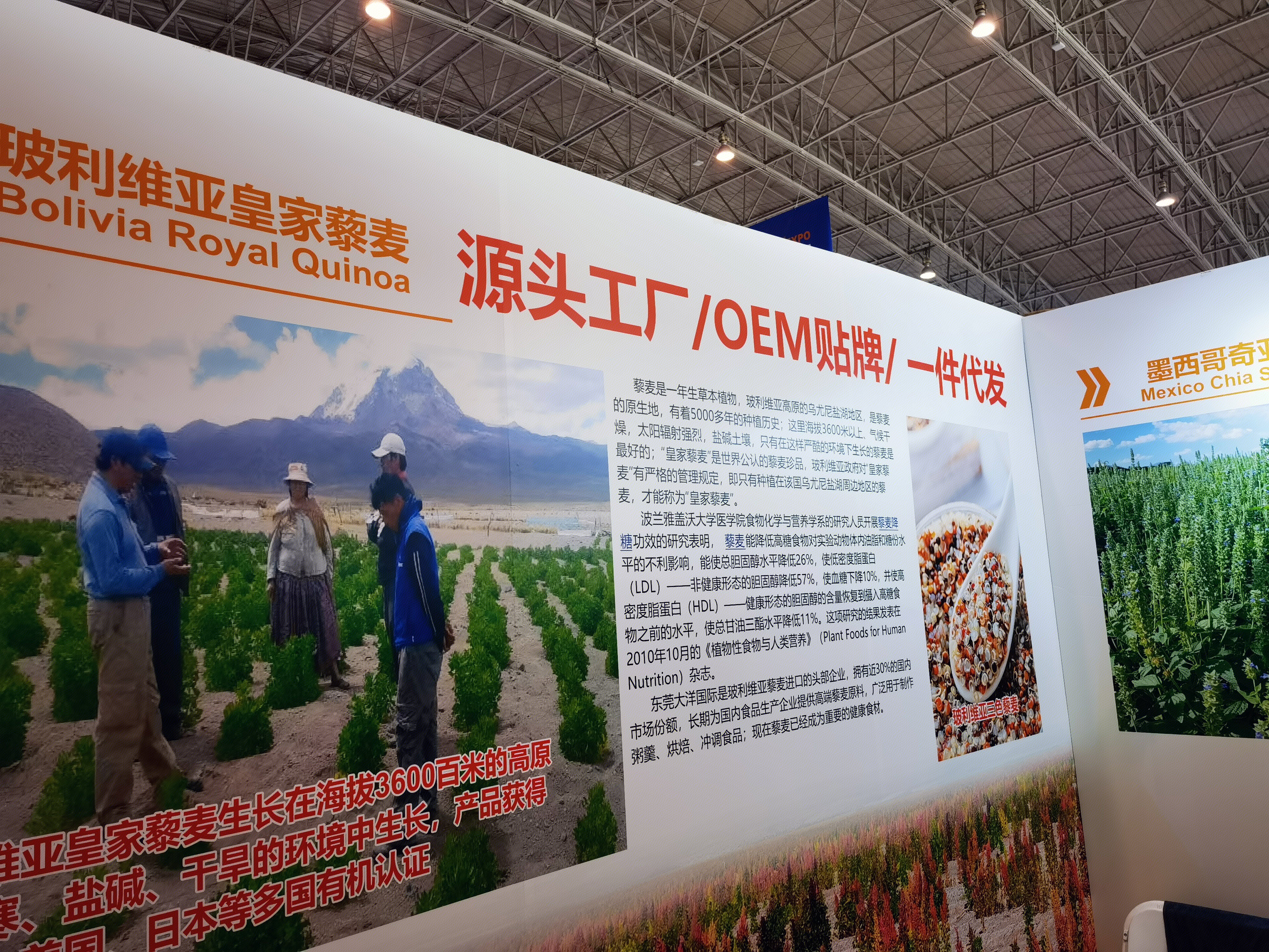 进口食品 进口干果