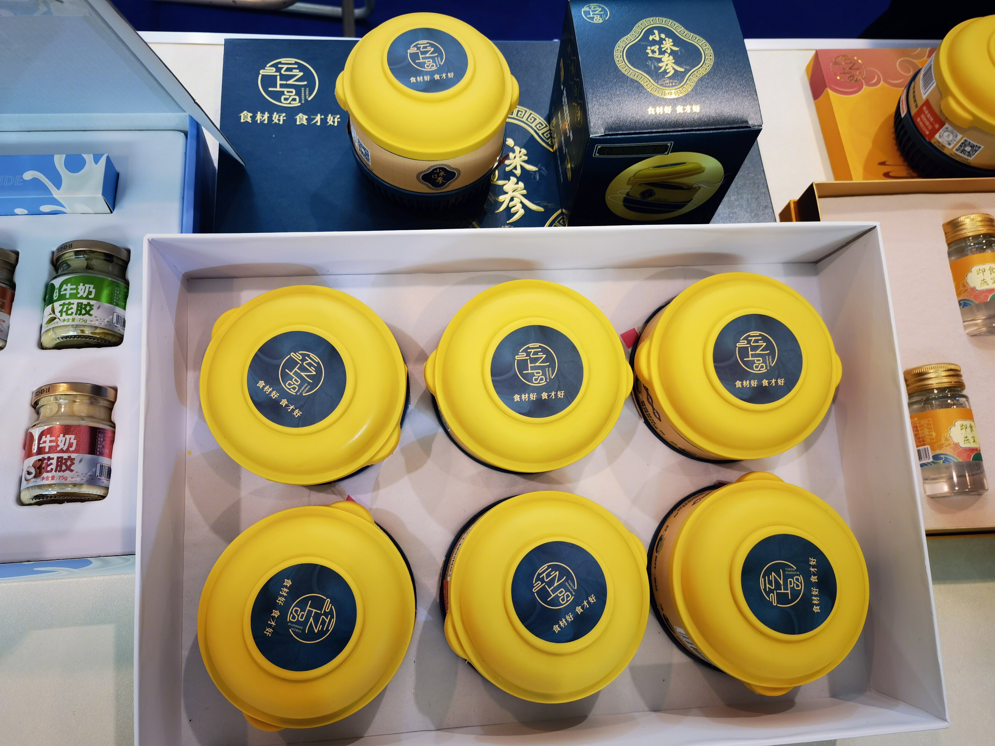 小米辽参 海参 保健品 滋补品