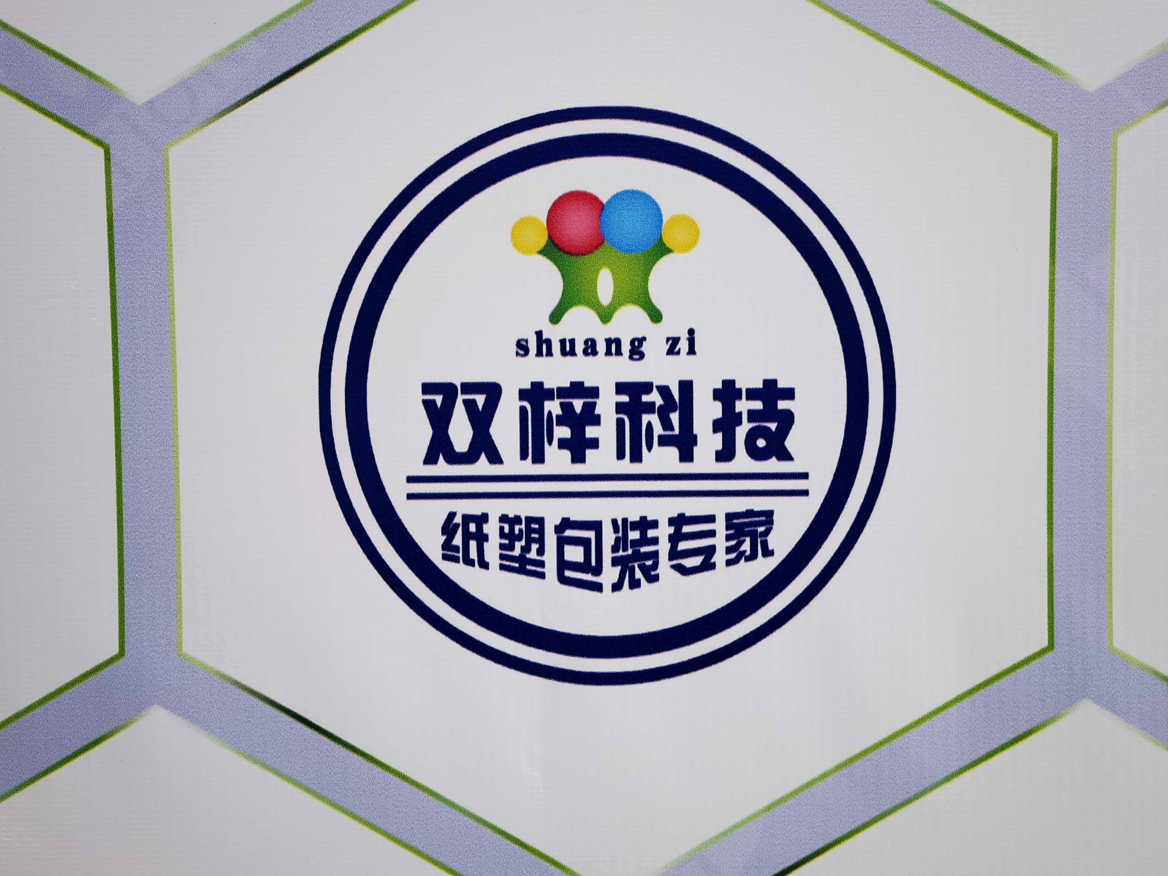 双梓科技 纸塑包装