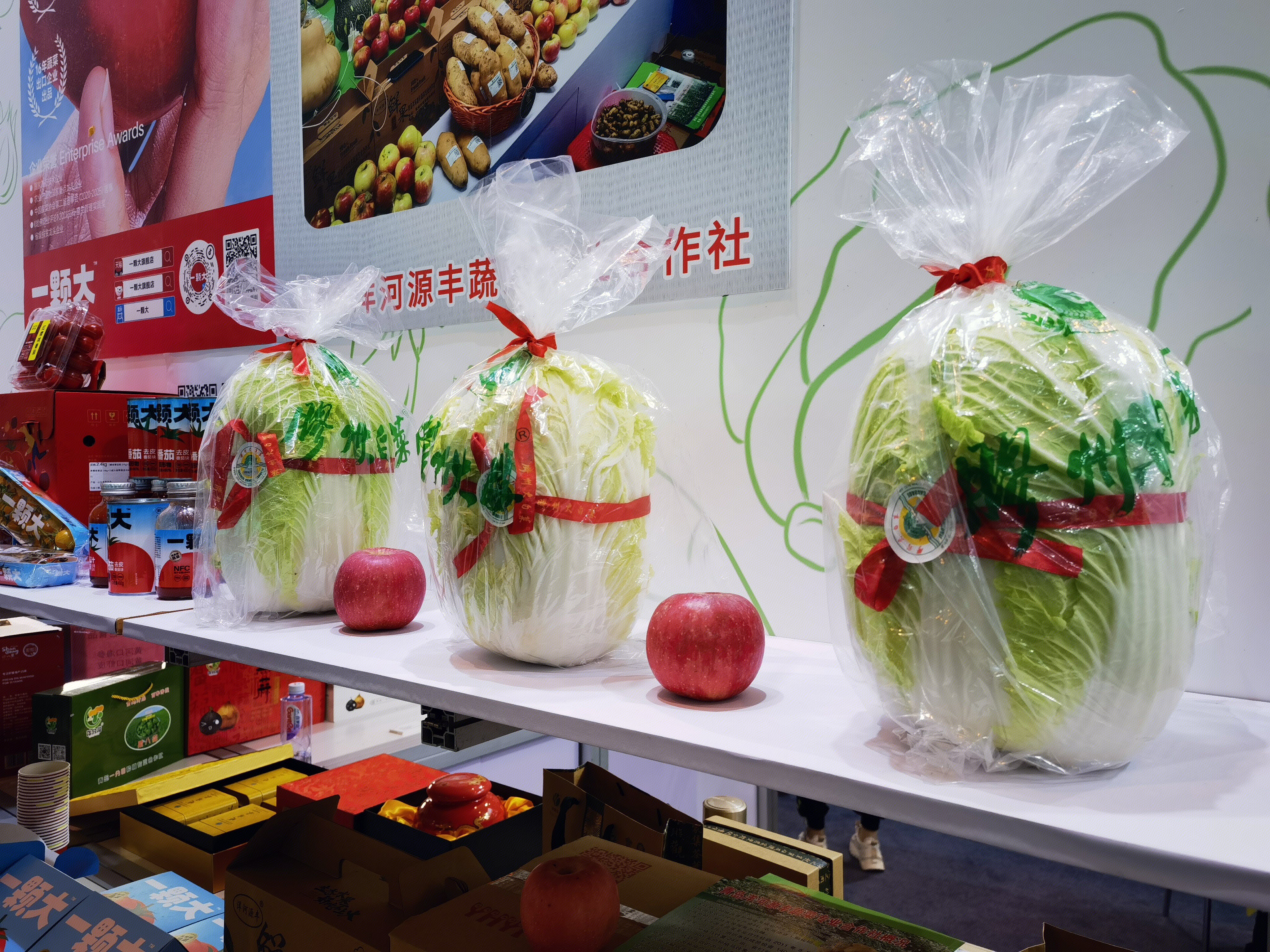 胶州大白菜 山东蔬菜