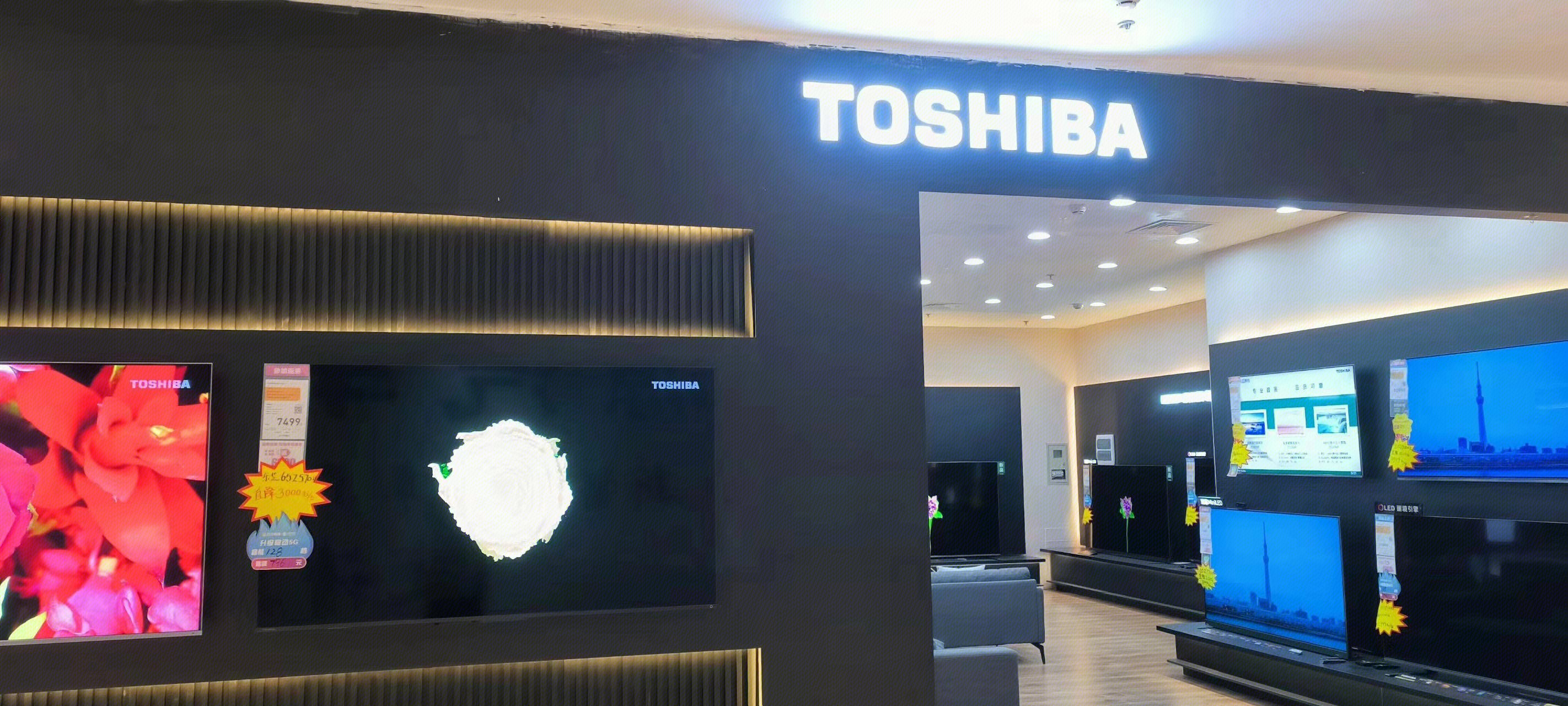 东芝 日本综合电子电器 HOSHIBA