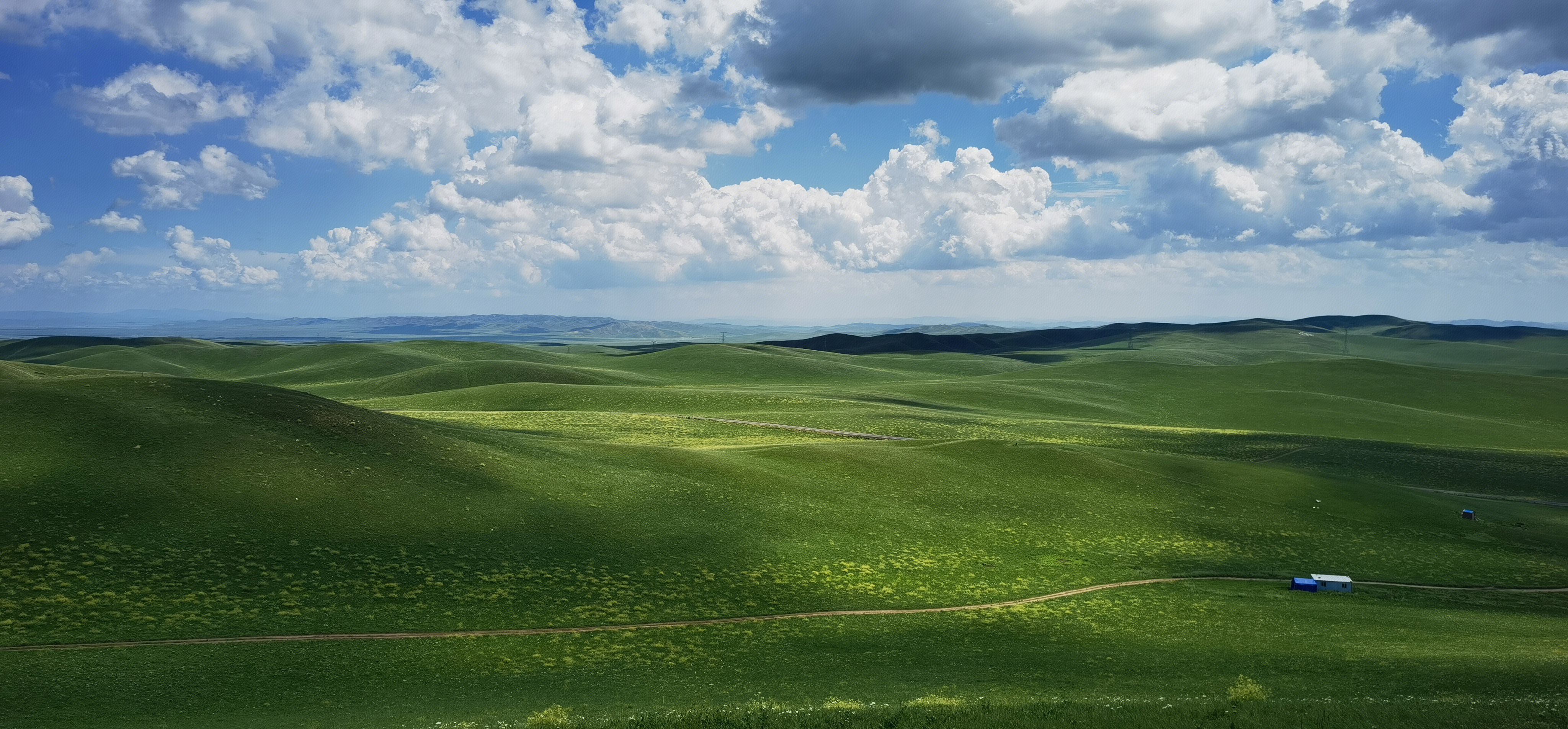 草原 内蒙古 锡林郭勒