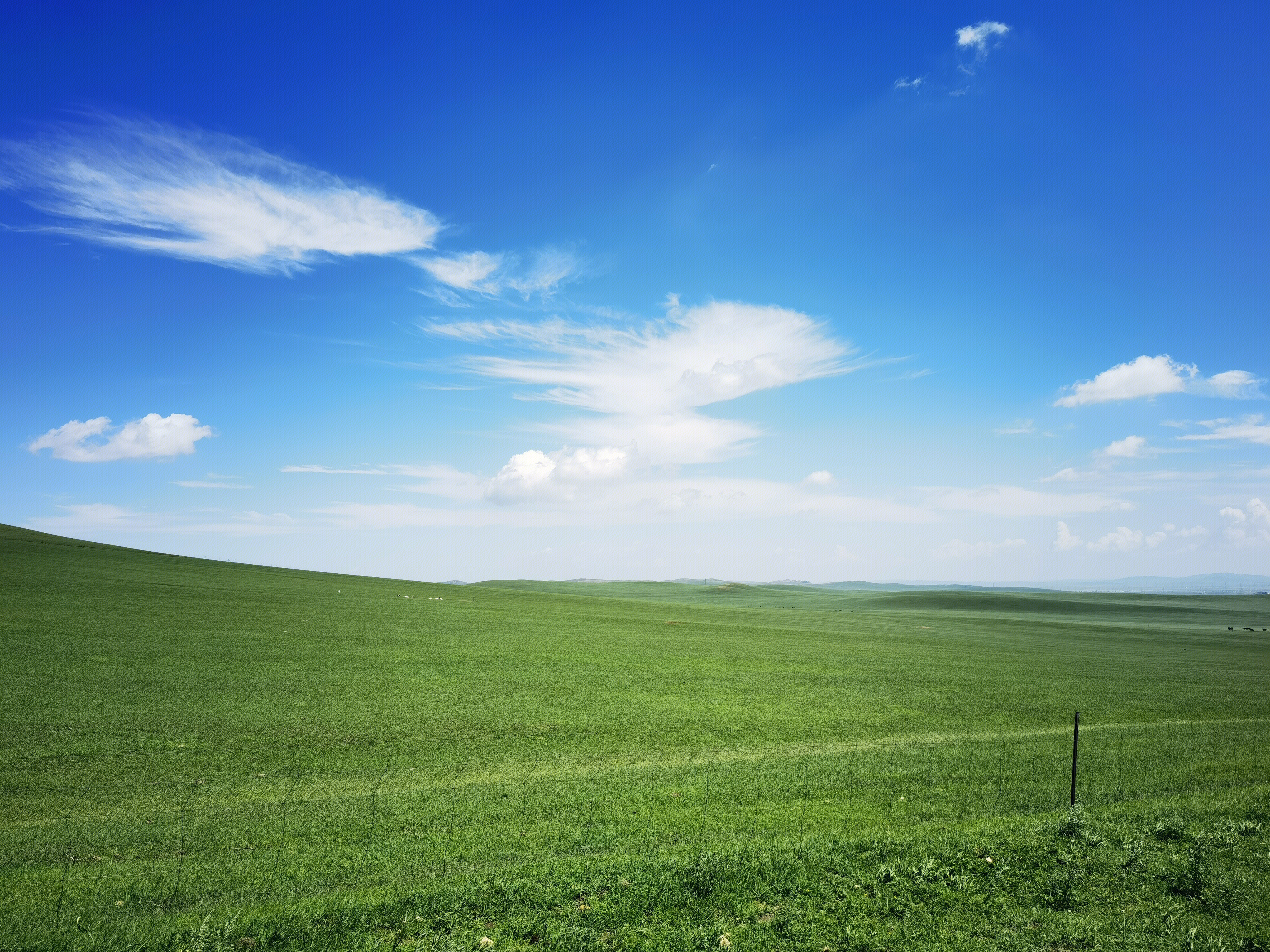 草原 内蒙古 锡林郭勒