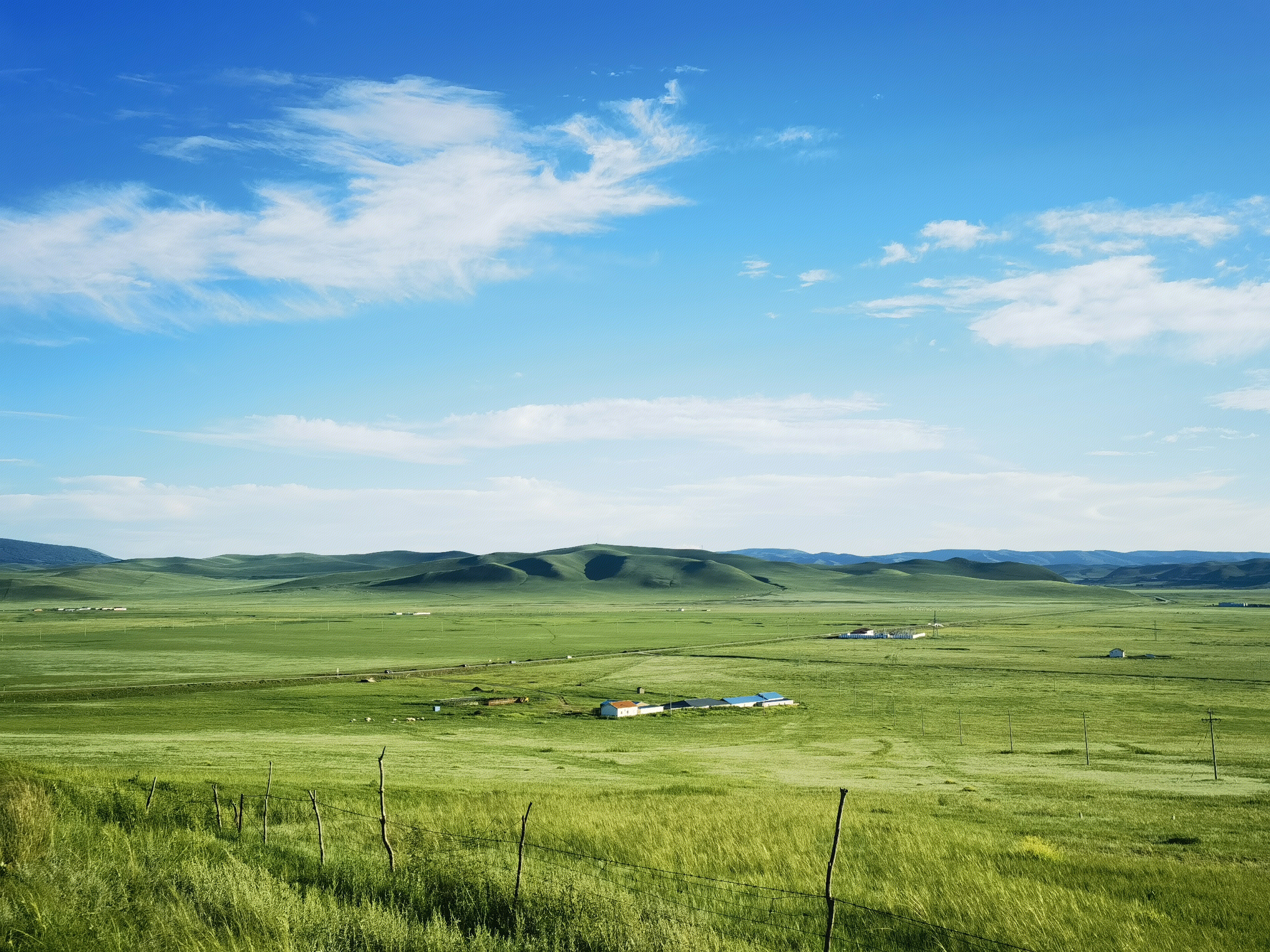 草原  内蒙古 锡林郭勒