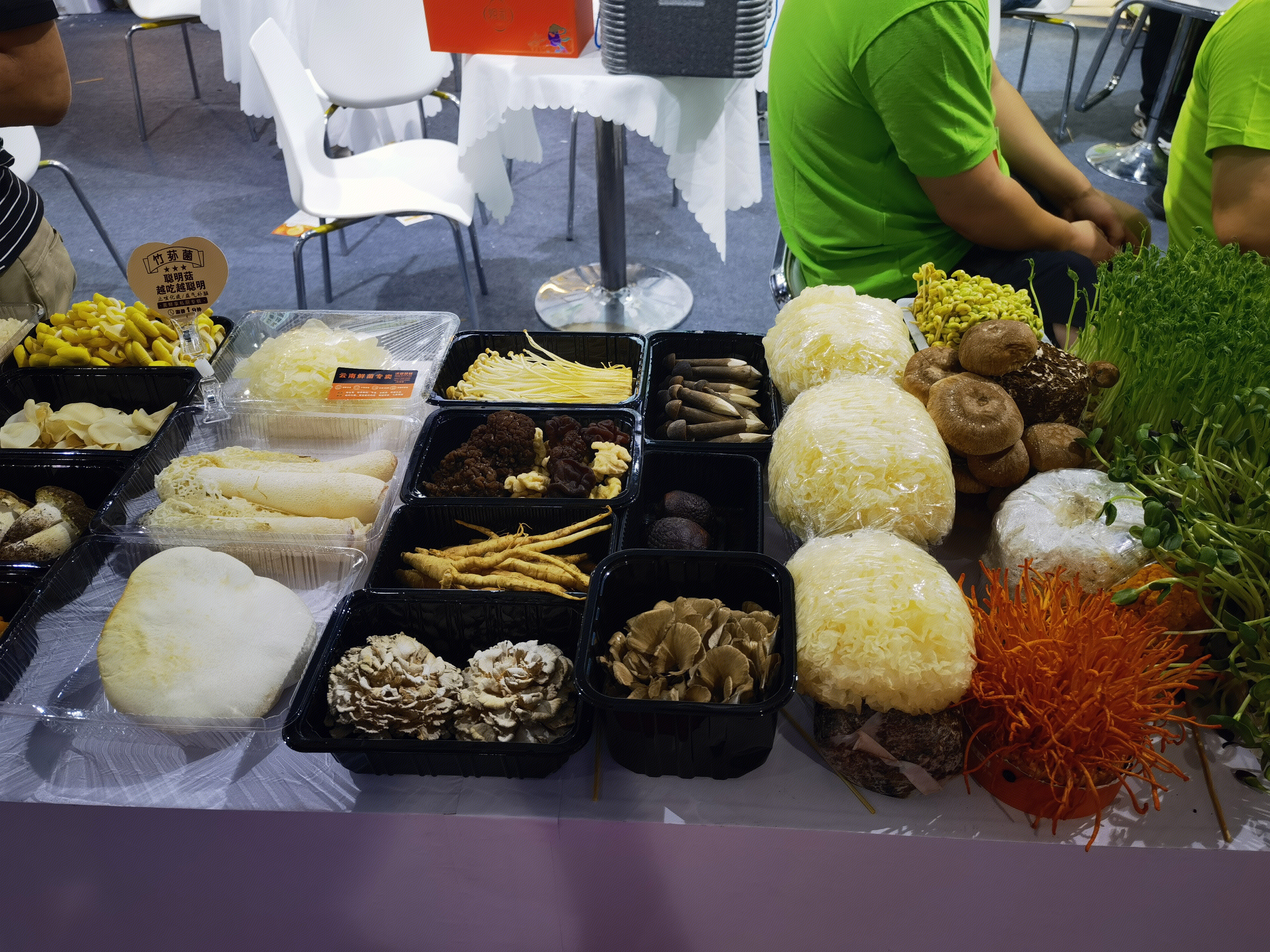 菌菇 蘑菇 香菇 松茸 黑人参 补品